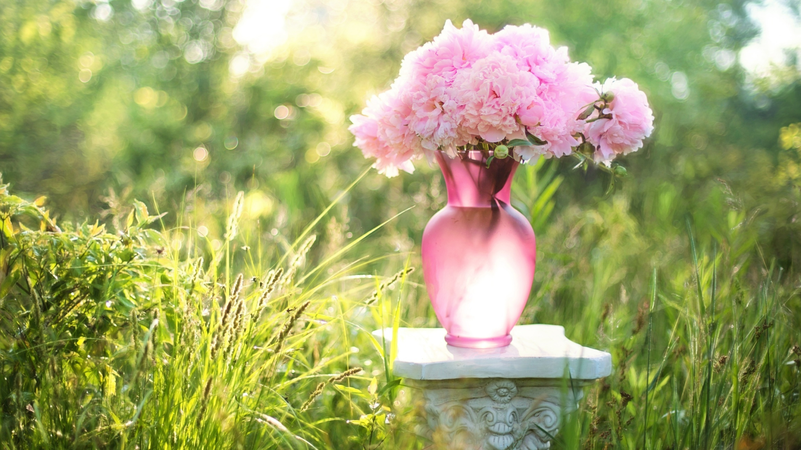 Pink peony bouquet, Pink glass vase, Carved stone pedestal, Sunlit meadow grass, HD Desktop wallpaper