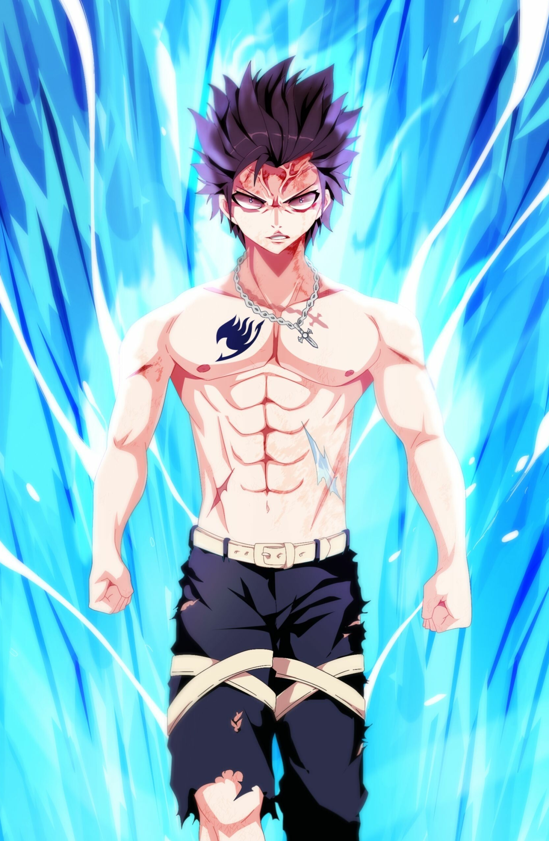 Fairy Tail anime fairy tail gray, 1860x2850 HD Phone