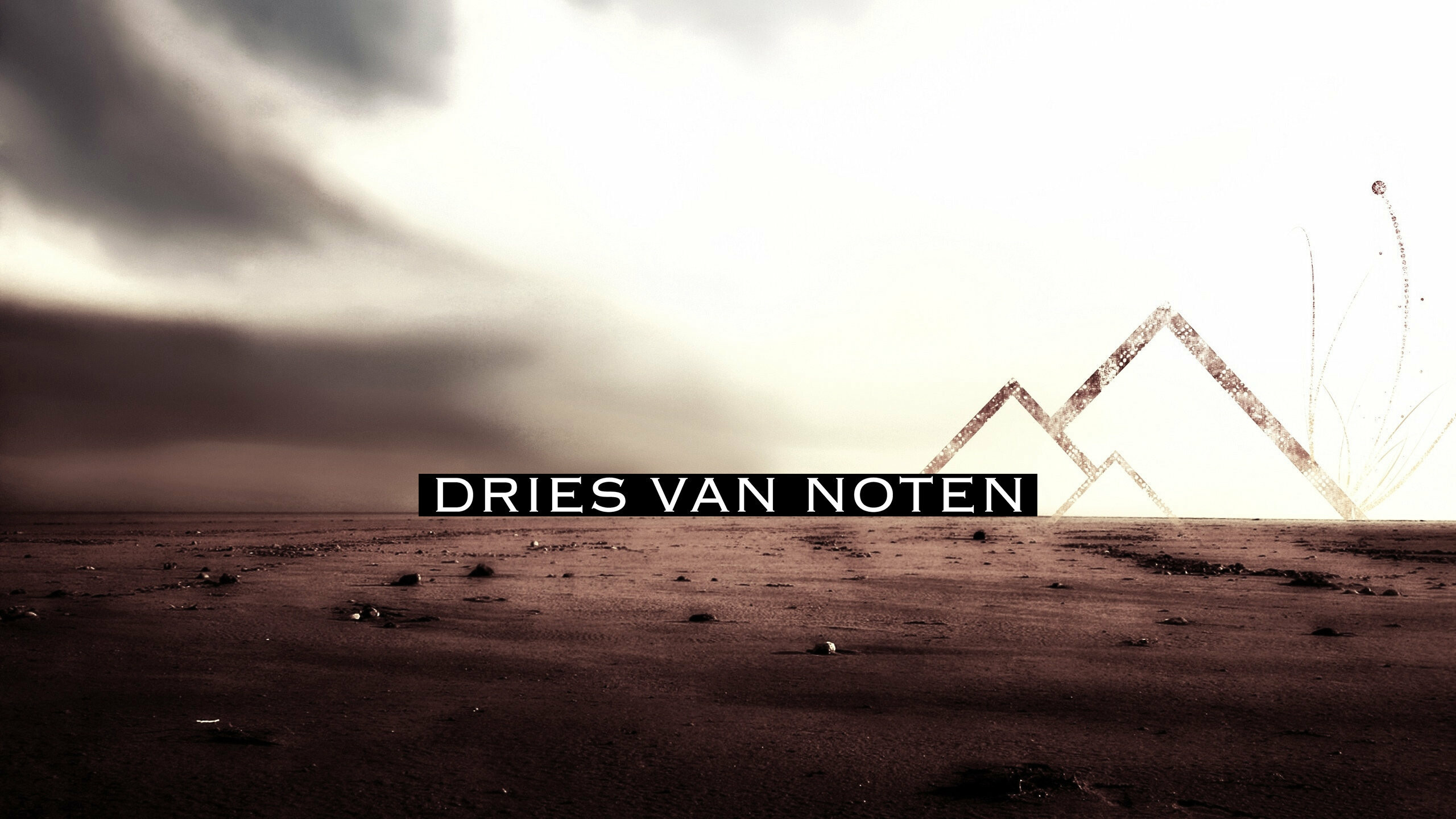 Dries Van Noten, Fashion designer, Unique patterns, Creative wallpapers, 2560x1440 HD Desktop