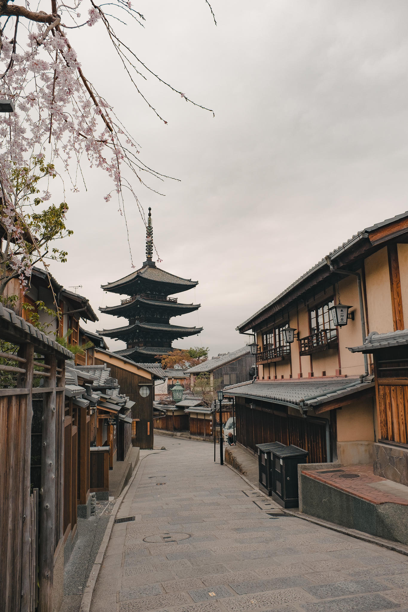 Kyoto, Spring in Kyoto, Cherry blossoms, Japanese culture, 1370x2050 HD Phone