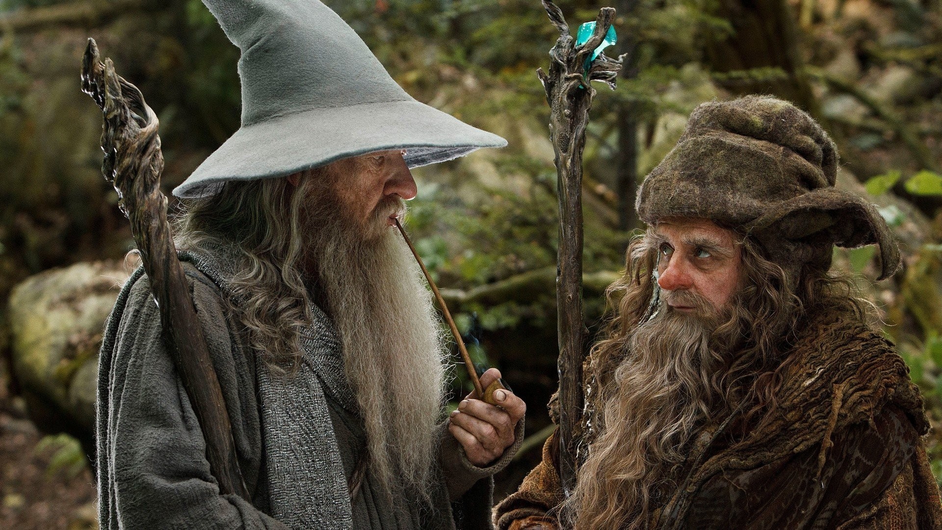 Create meme of Radagast, Fun and creative, Lord of the Rings, Internet humor, 1920x1080 Full HD Desktop