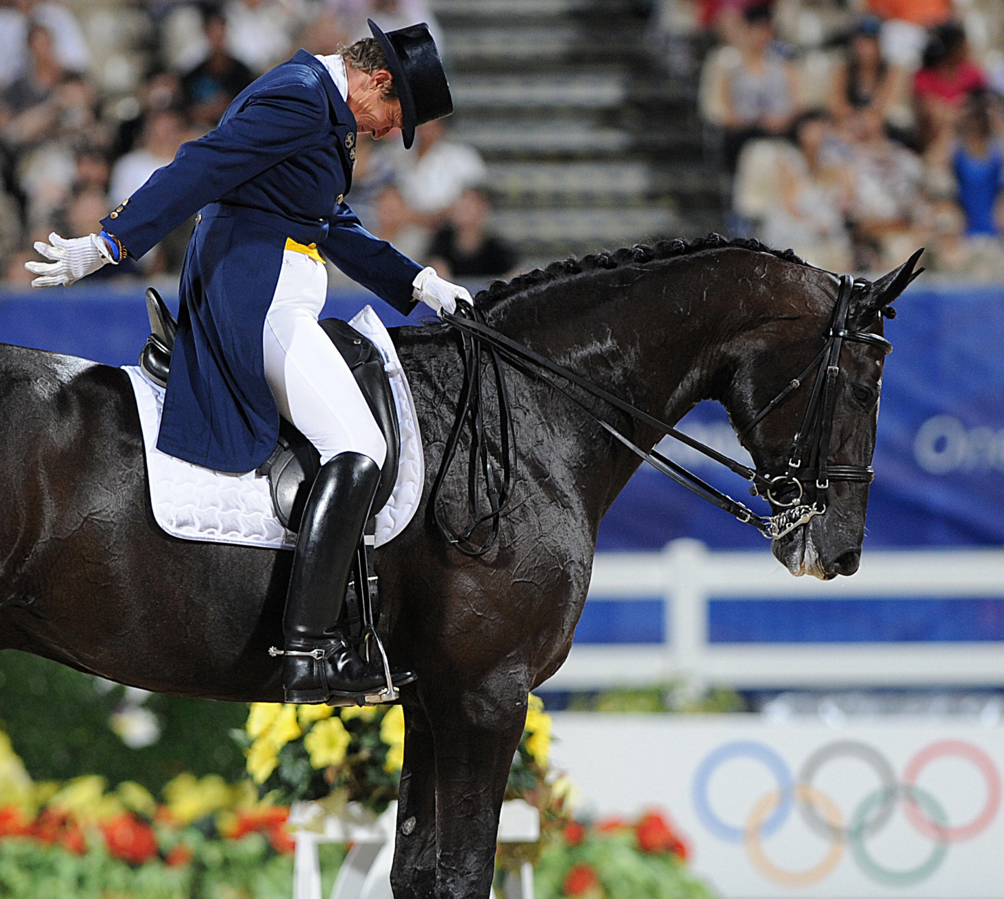 Dressage sports, Dressage riders petition, Allow top hats, Equestrian regulation, 2050x1840 HD Desktop