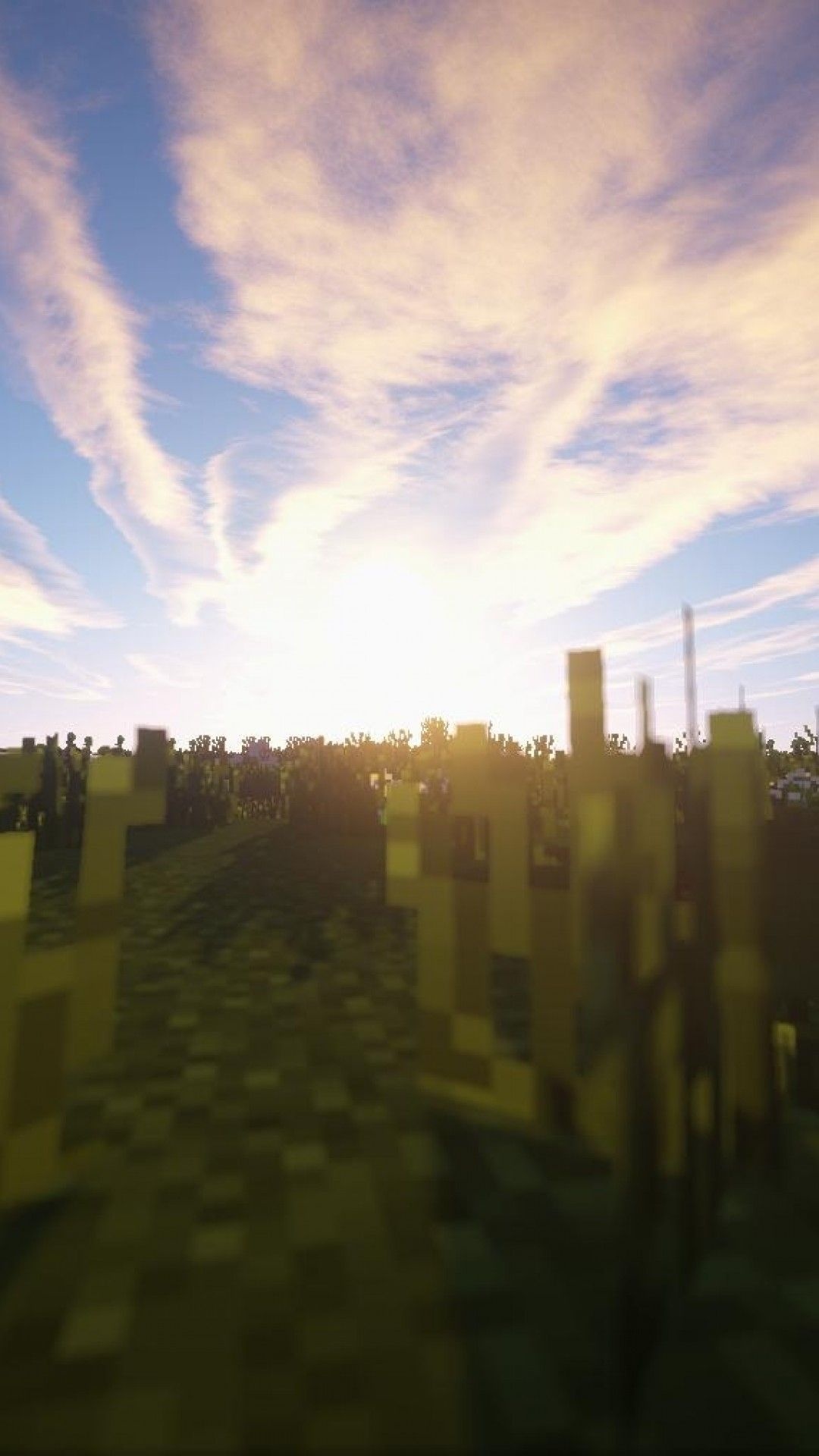 Minecraft tall grass, Minecraft shader sunrise, Minecraft plains biome, Full HD Phone wallpaper