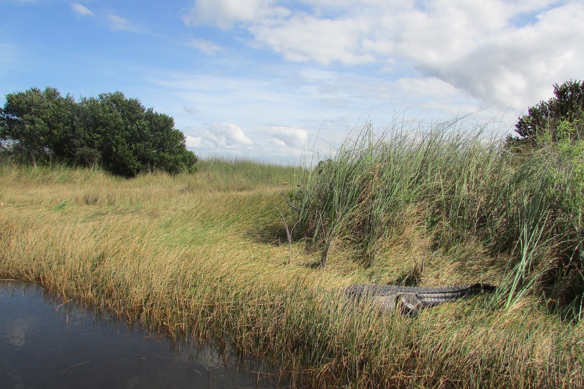 Everglades National Park, Florida paradise, Villas of Paradise, Wallpaper background, 1920x1280 HD Desktop