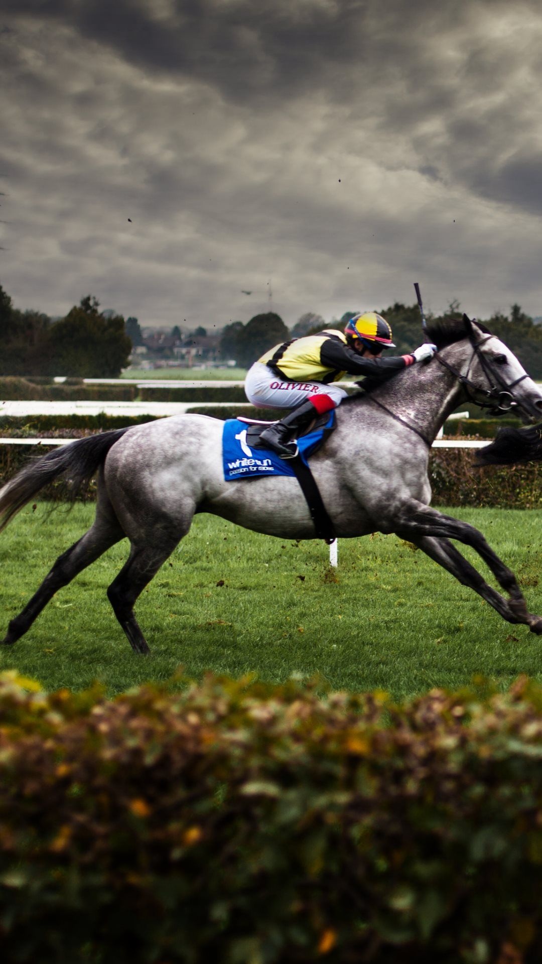 Horse racing wallpapers, Free backgrounds, Top, 1080x1920 Full HD Phone