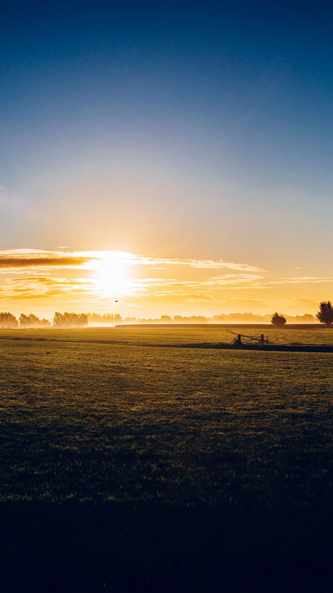 Sunny morning farm, Nature's peace, iPhone wallpaper, Live wallpaper, 1080x1920 Full HD Phone