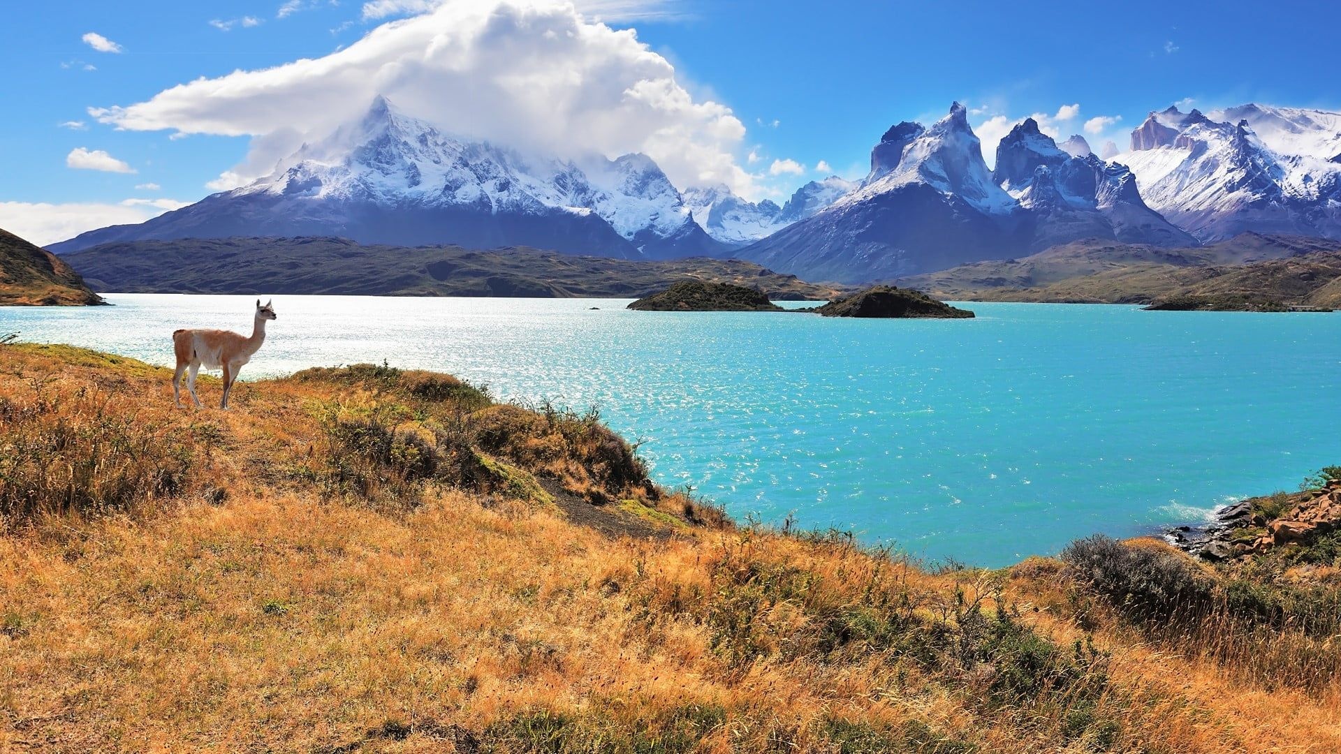 Torres del Paine National Park, Snowy mountains, Reflective lakes, Sky's beauty, 1920x1080 Full HD Desktop