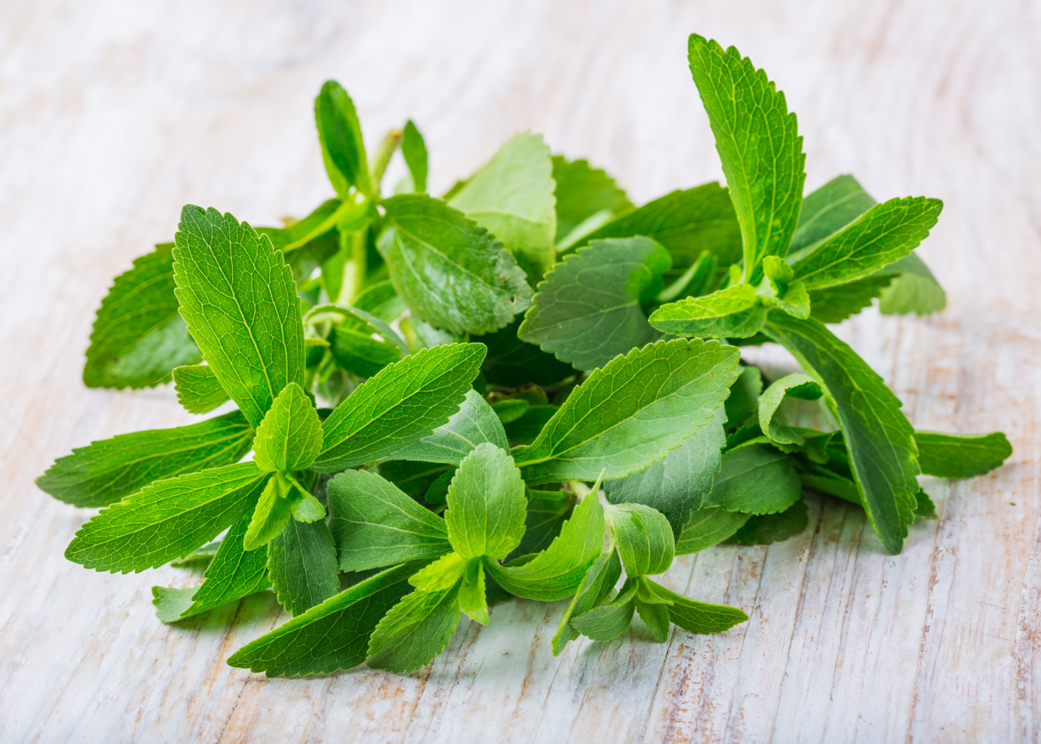 Stevia, Stevia vs saccharin, Food, 2060x1470 HD Desktop