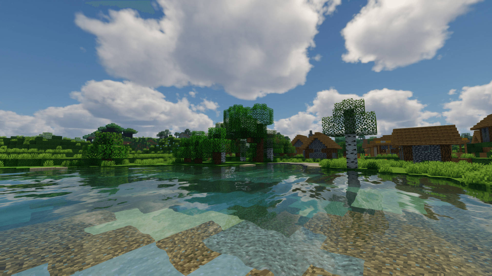 Minecraft plains village, realistic shader water, Minecraft birch tree, Full HD Desktop wallpaper
