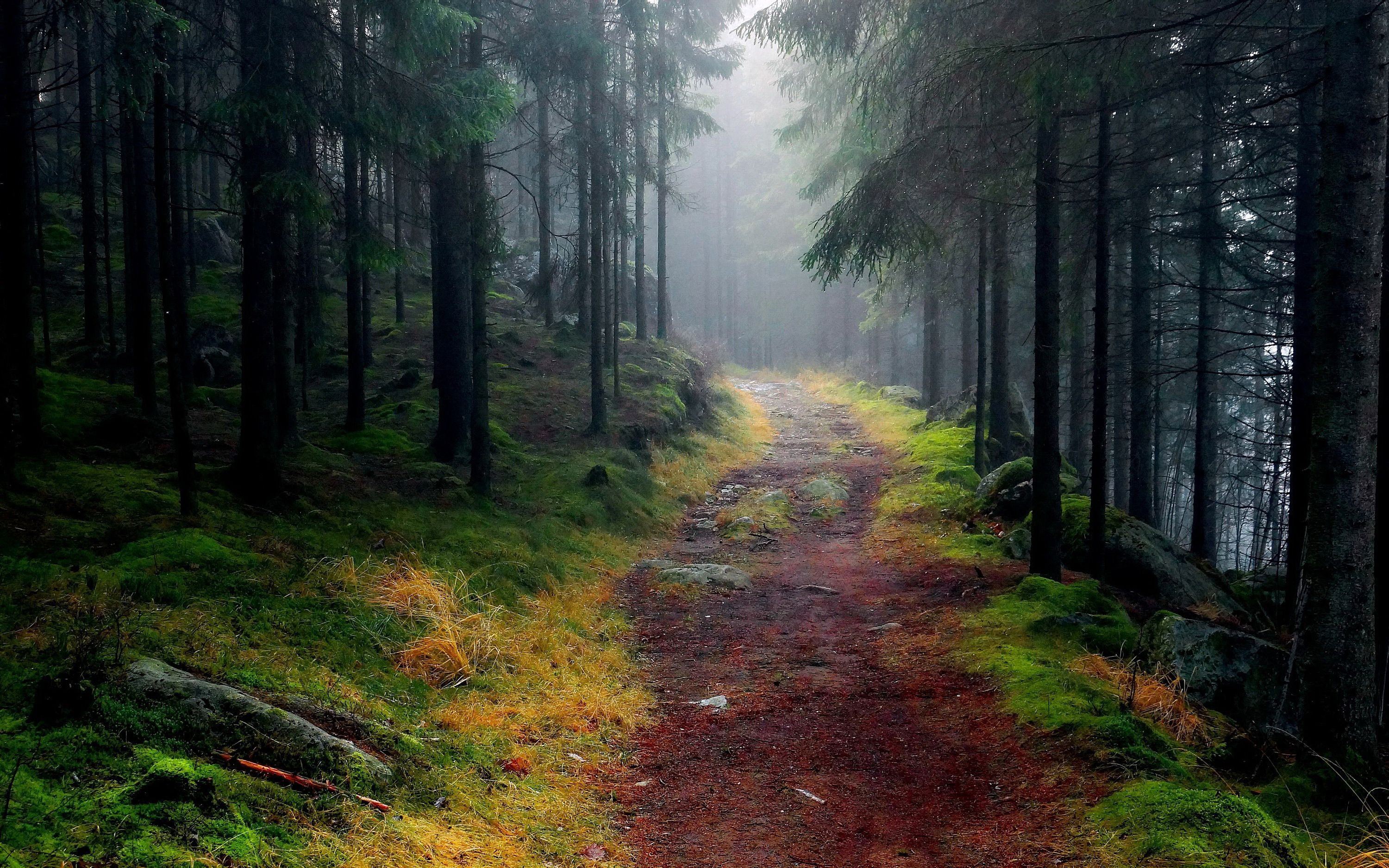 Mountain trail, Outdoor exploration, Majestic peaks, Natural wonder, 3000x1880 HD Desktop