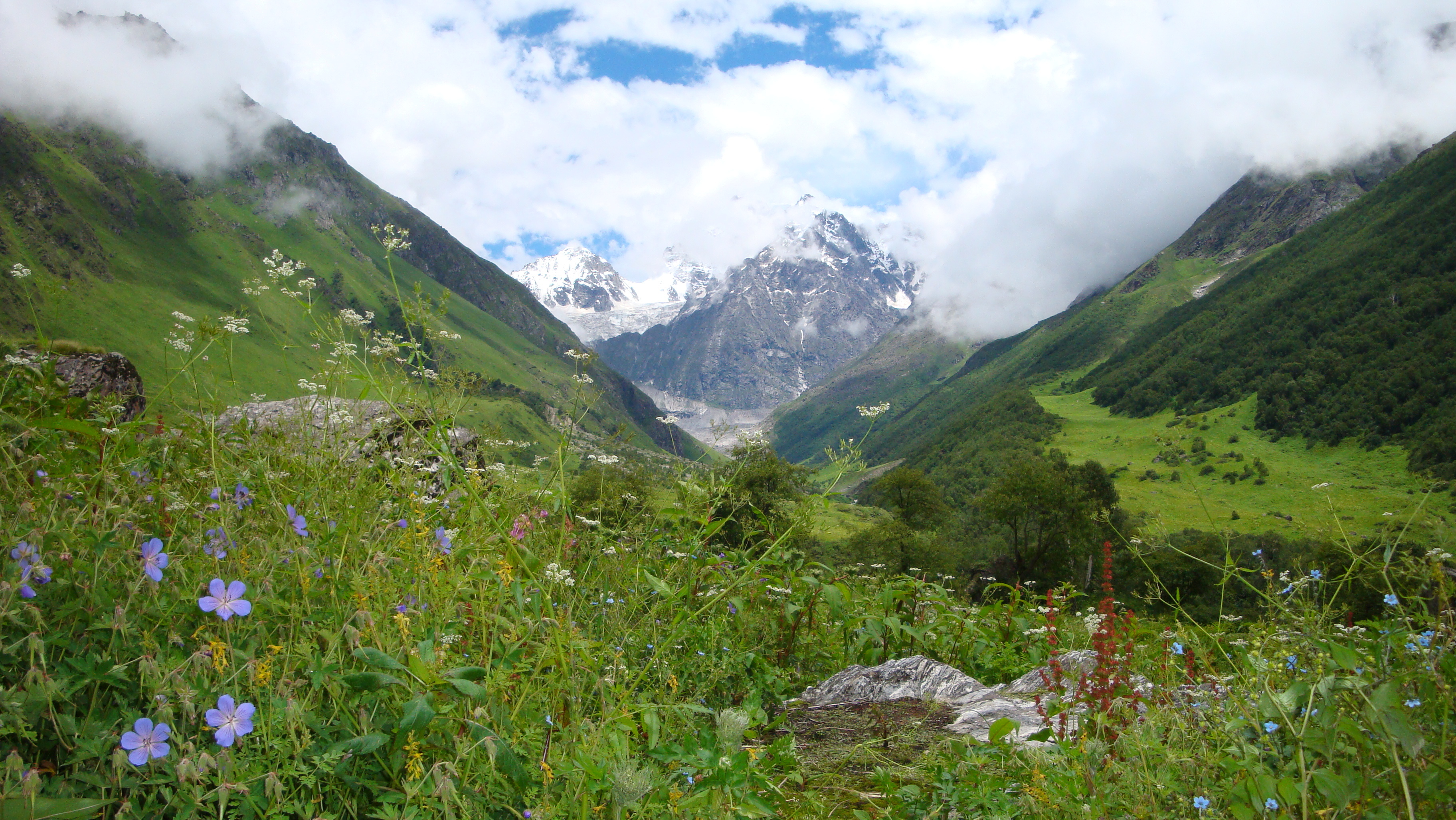 Valley of Flowers, India, Travels, Ghumakkar, 3650x2060 HD Desktop