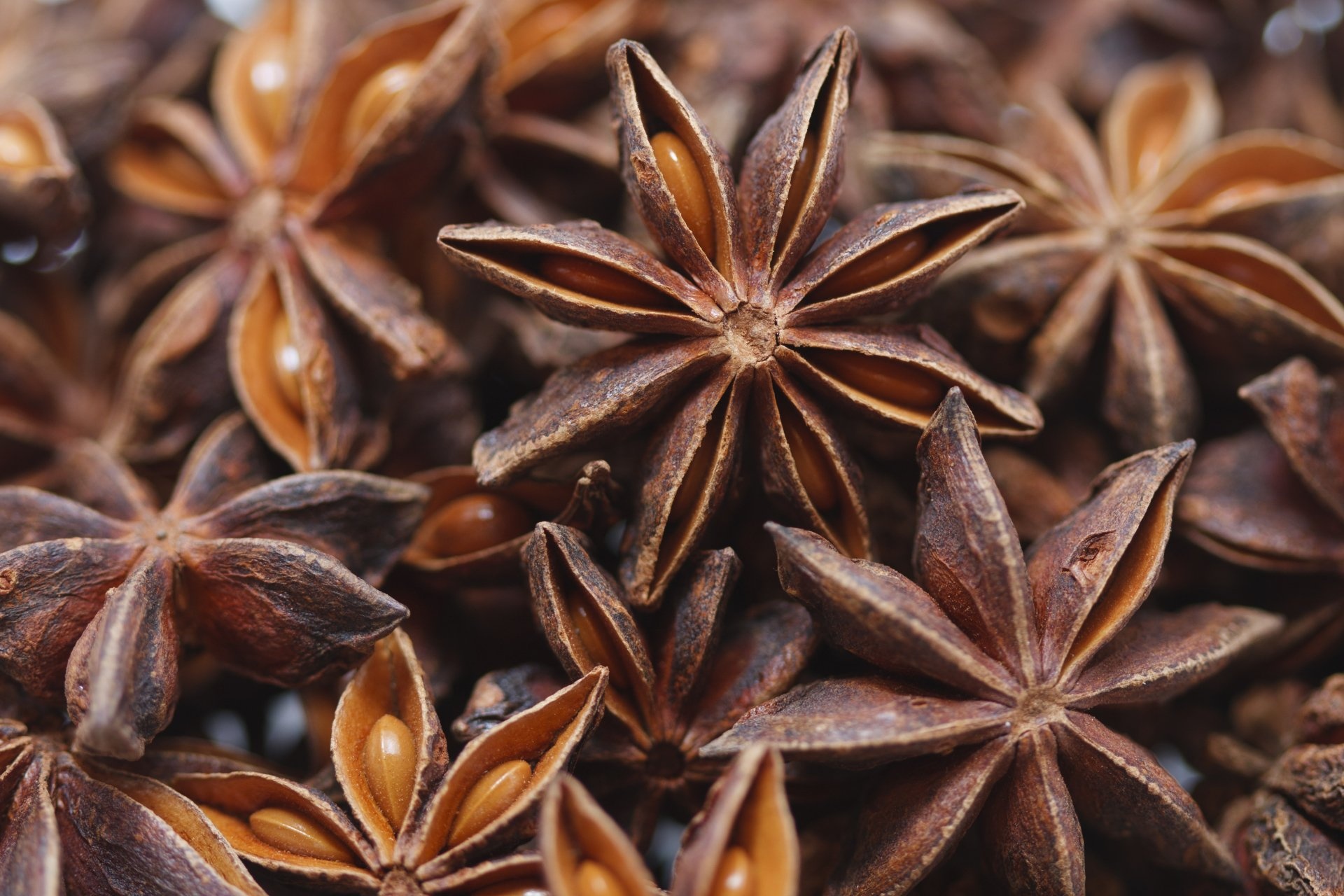 Anise Plant, 4K wallpaper wonder, Star anise allure, Stunning visuals, 1920x1280 HD Desktop