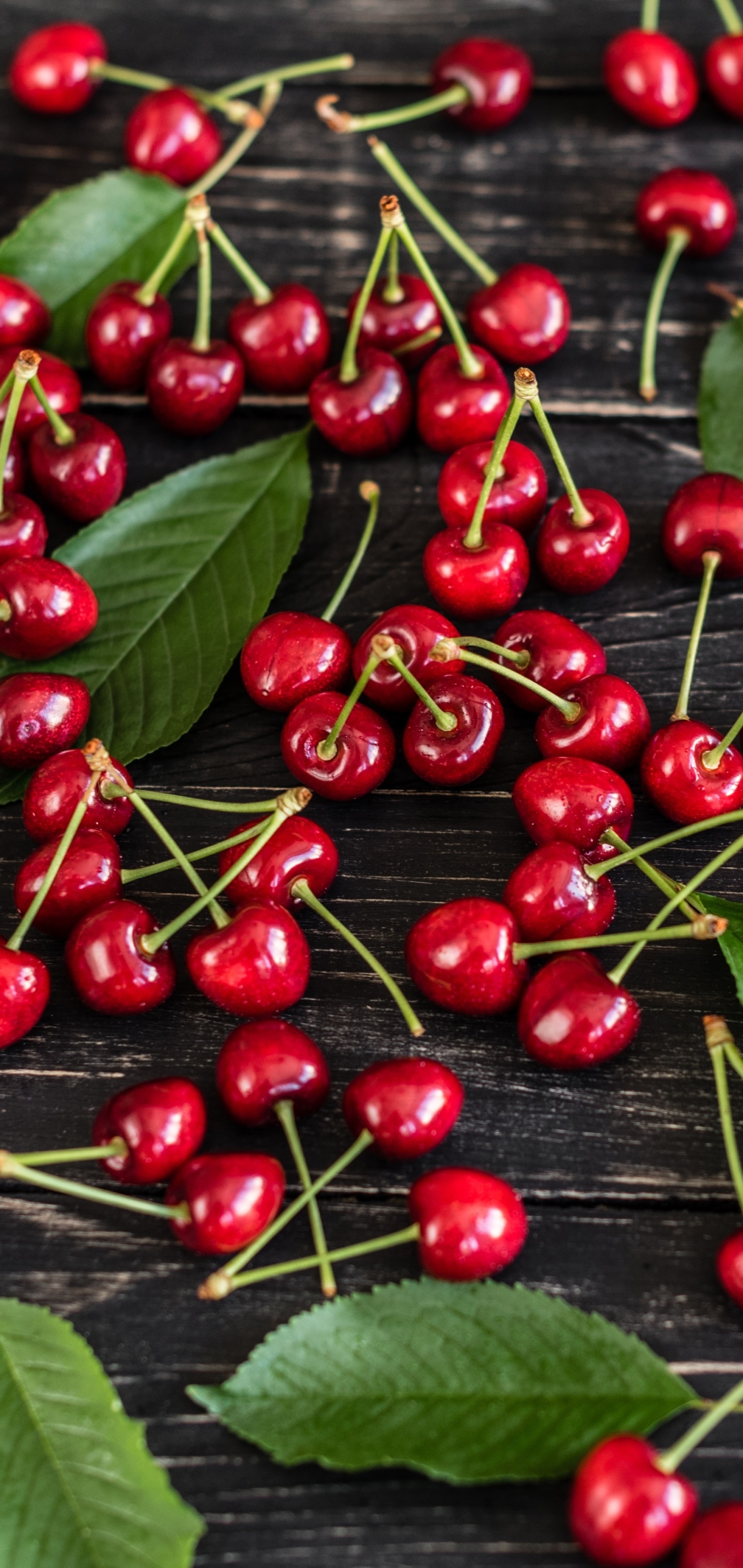 Cherry fruit, Fresh and tangy, Nutritious and vibrant, Nature's little gem, 1440x3040 HD Phone