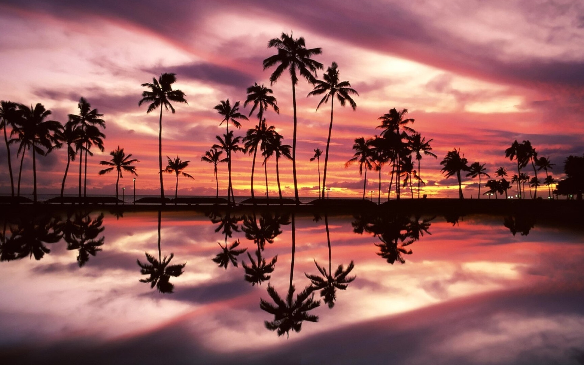 Beautiful sunset, Palm trees by the ocean, Scenic view, Coastal paradise, 1920x1200 HD Desktop