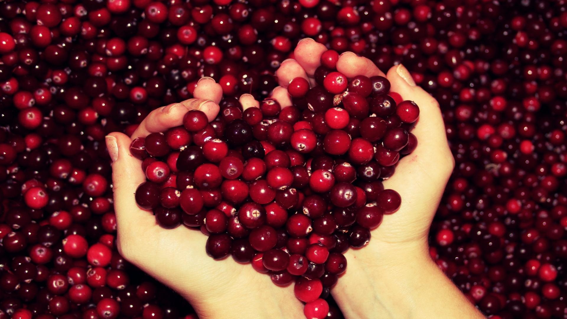 Cranberry wallpapers, Stunning visuals, Vibrant backgrounds, Berry beauty, 1920x1080 Full HD Desktop