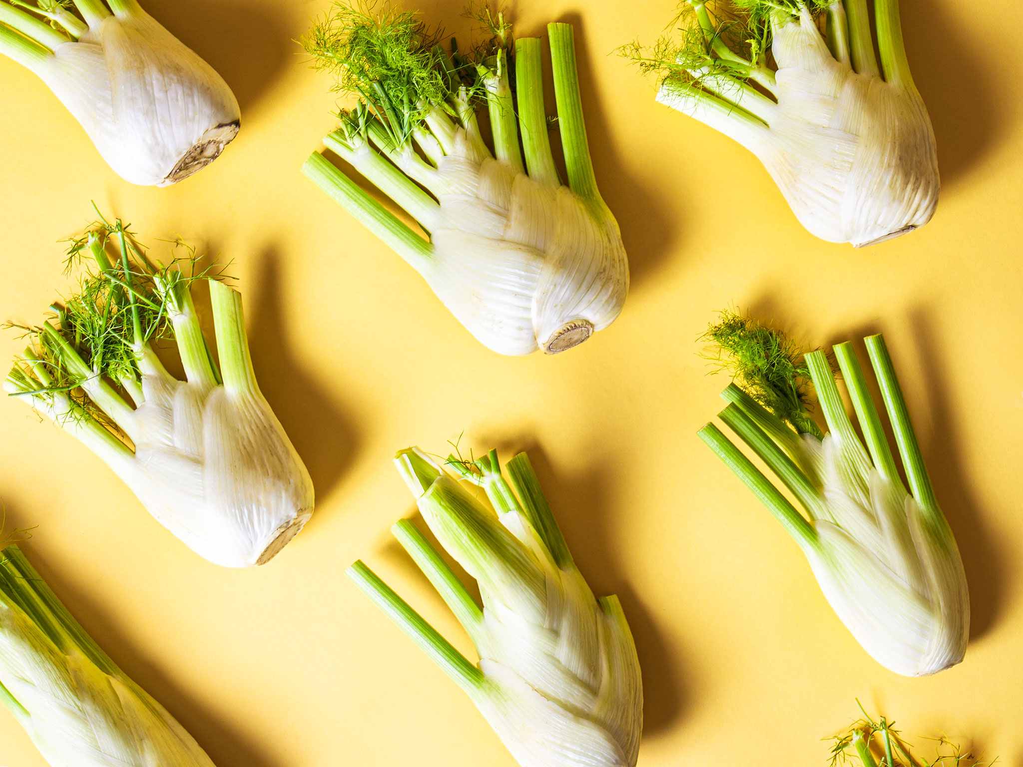 In-season fennel, Seasonal produce, Fresh and flavorful, Cooking inspiration, 2050x1540 HD Desktop