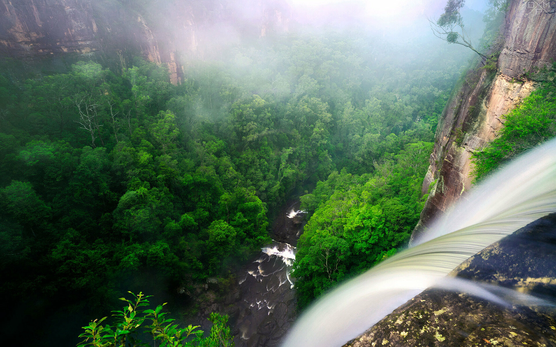 Breathtaking views, Rainforest beauty, HD wonders, Desktop serenity, 1920x1200 HD Desktop