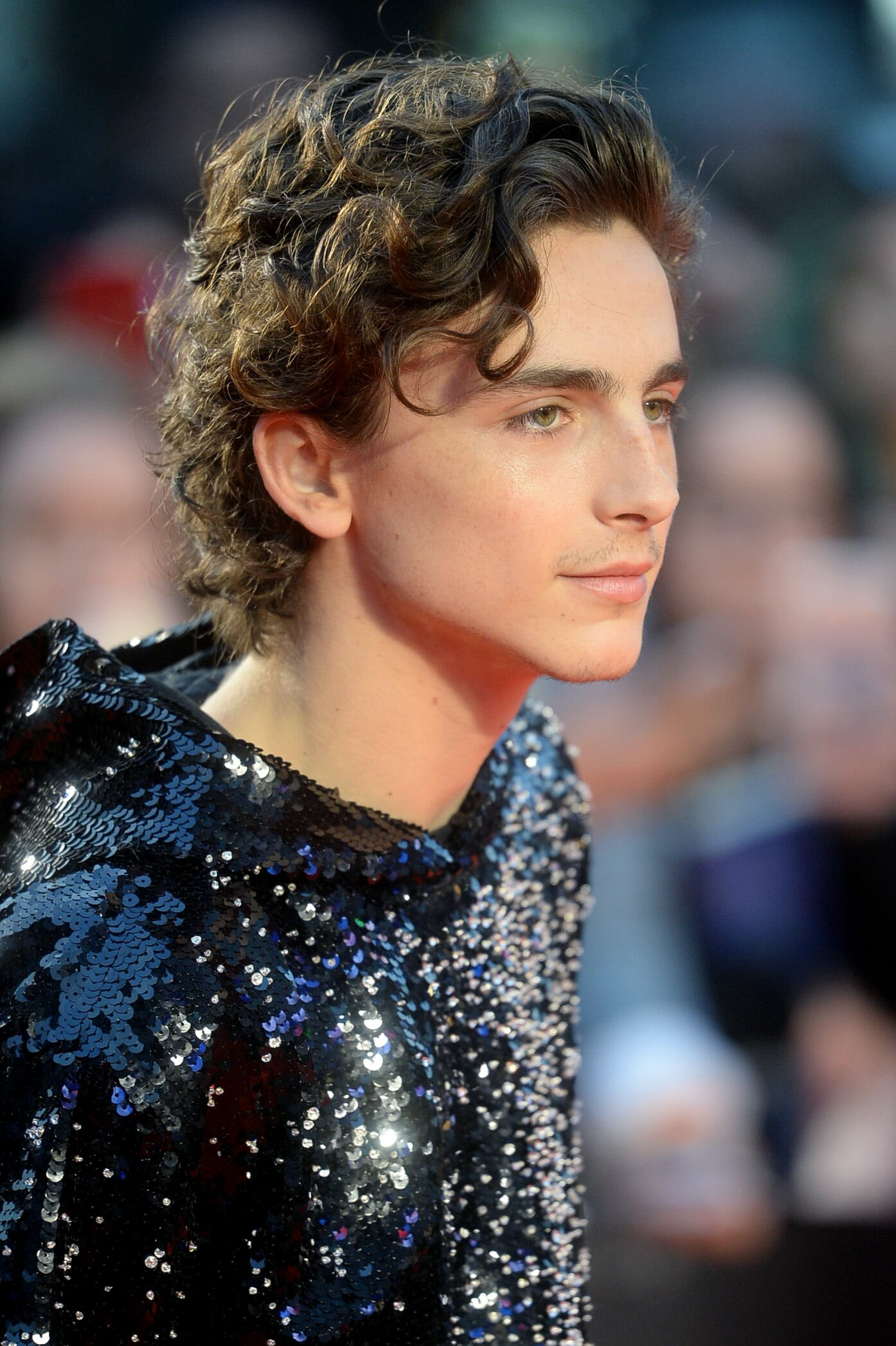 Timothee Chalamet, Wallpaper sun, Celebs, 1400x2100 HD Phone