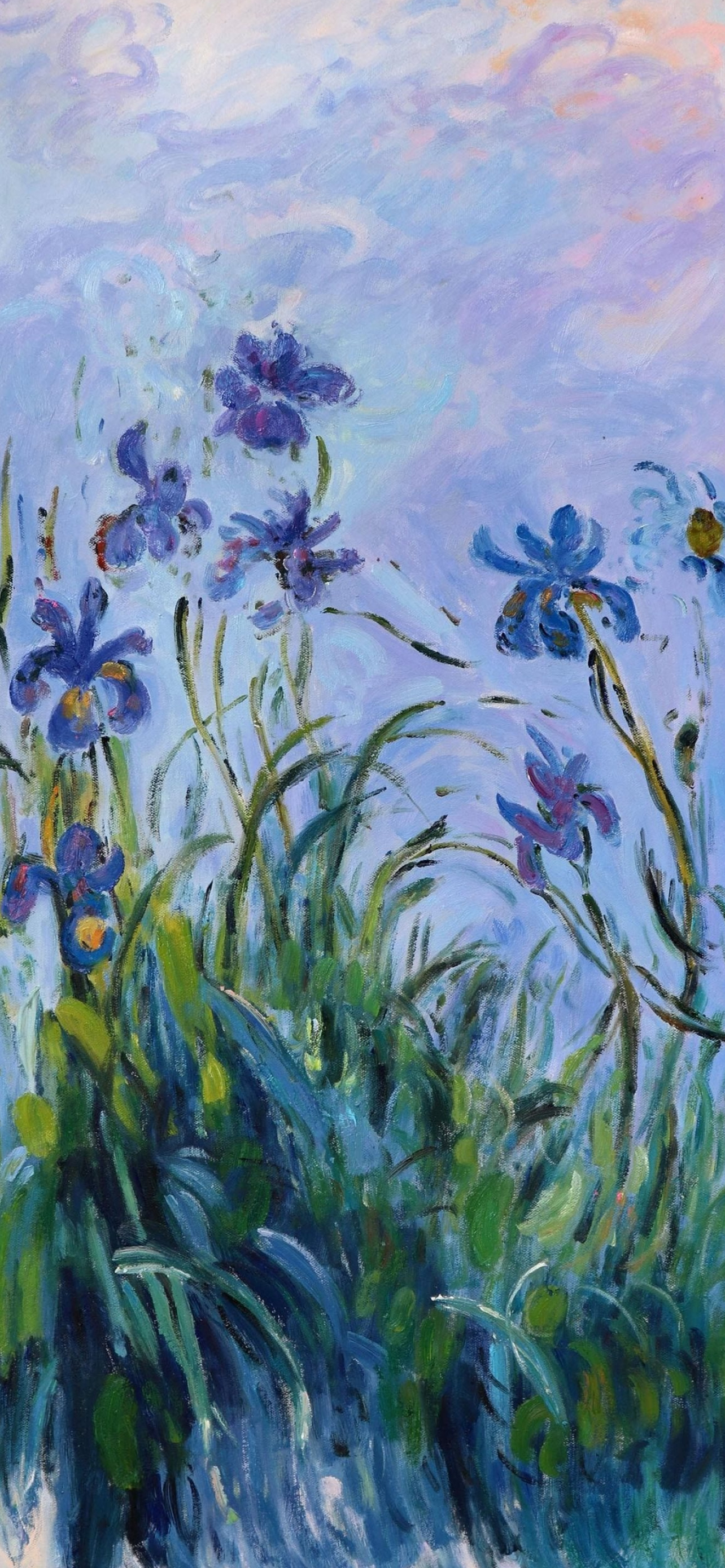 Claude Monet Irises, blooming blue iris flowers, impressionist garden painting, HD Phone wallpaper