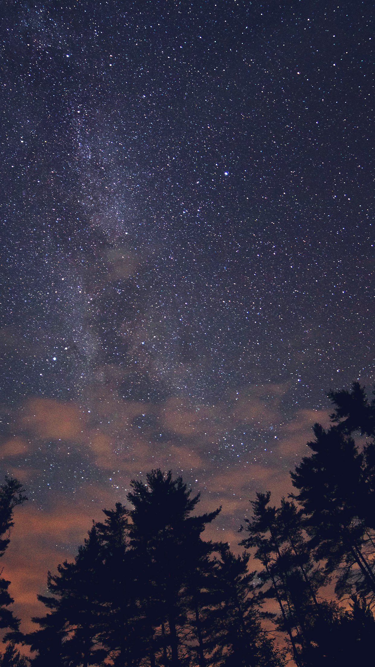 Milky Way galaxy, Silhouetted pine trees, Reddish night clouds, HD Phone wallpaper