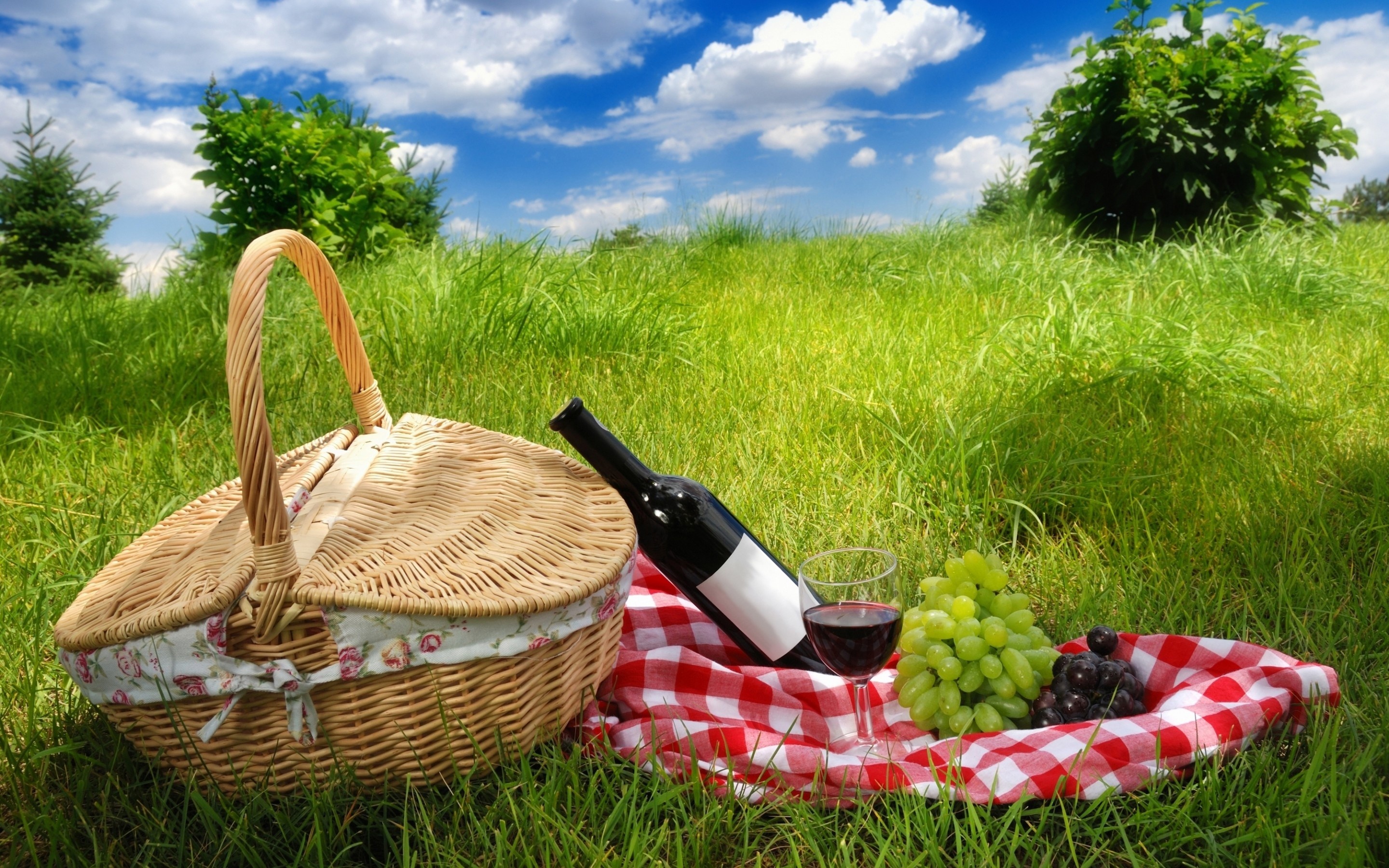 Picnic HD wallpapers, Backgrounds, 2880x1800 HD Desktop