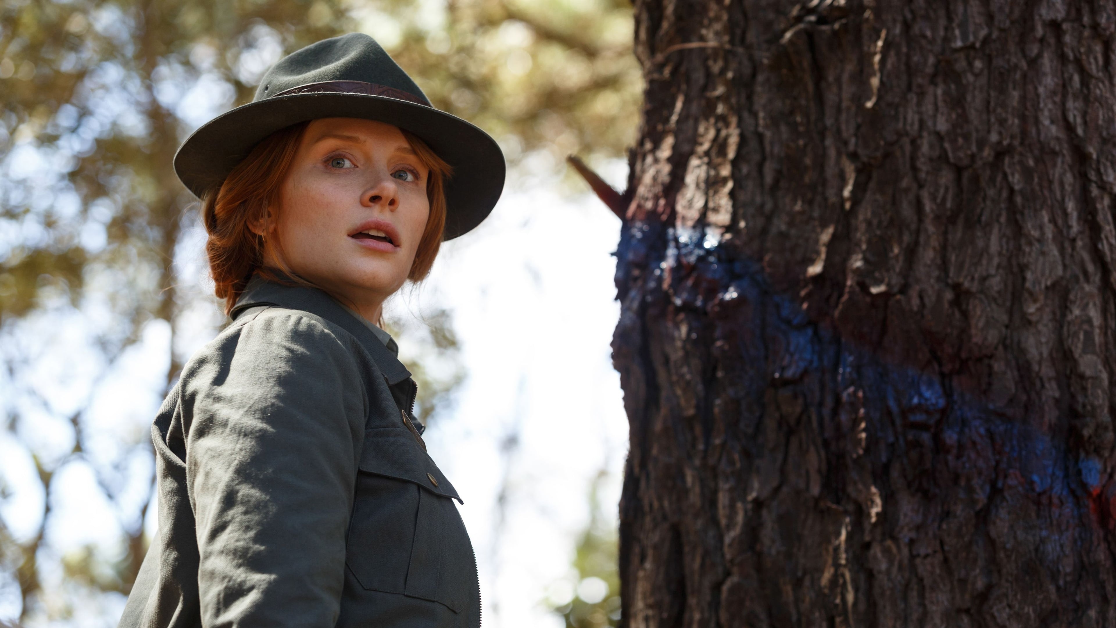 Pete's Dragon movie, Backdrops the movie, Database tmdb, 3840x2160 4K Desktop
