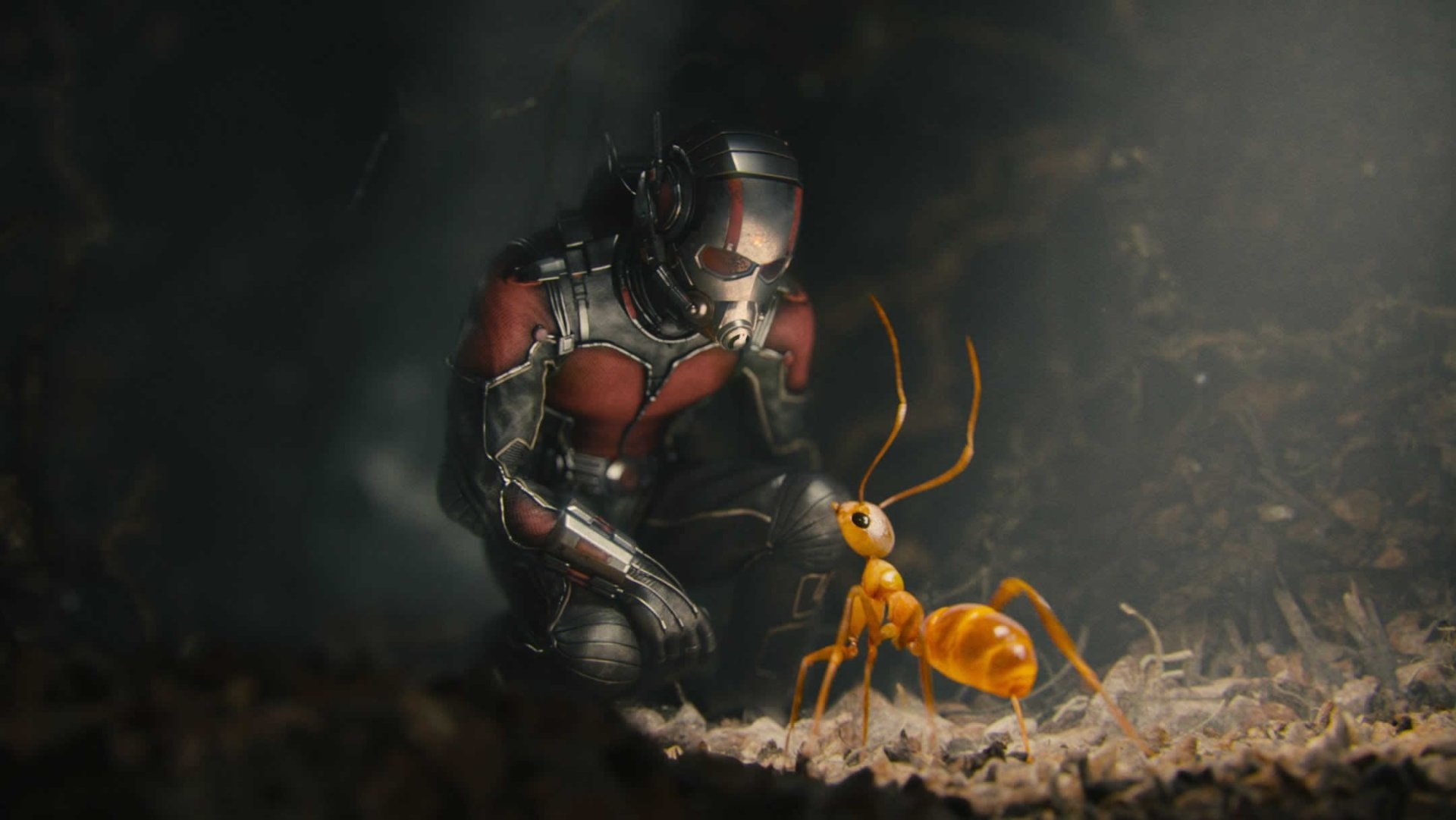 Ant-Man HD wallpapers, Background images, 1920x1090 HD Desktop