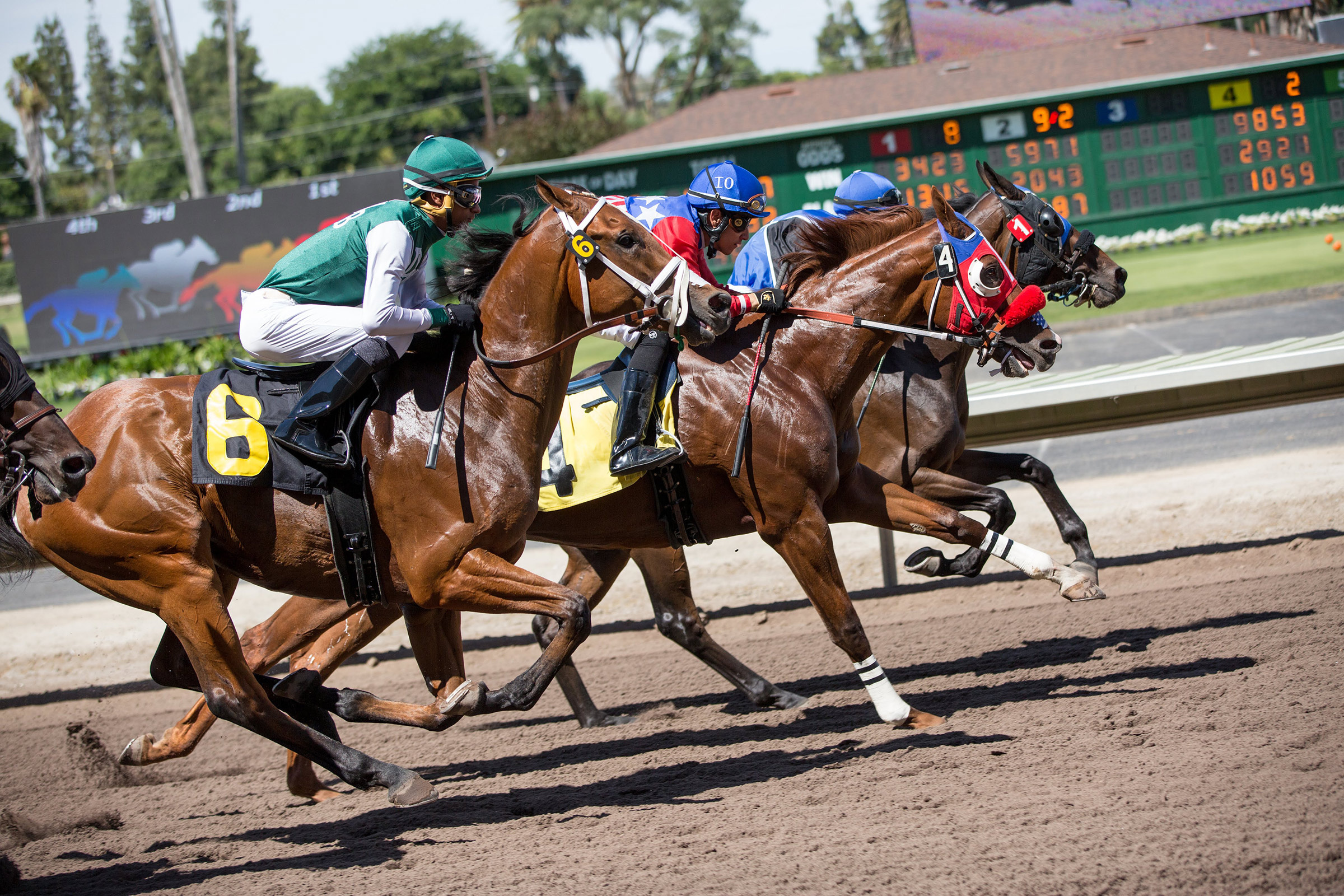 Alameda County Fair, Horse Racing Wallpaper, 2400x1600 HD Desktop