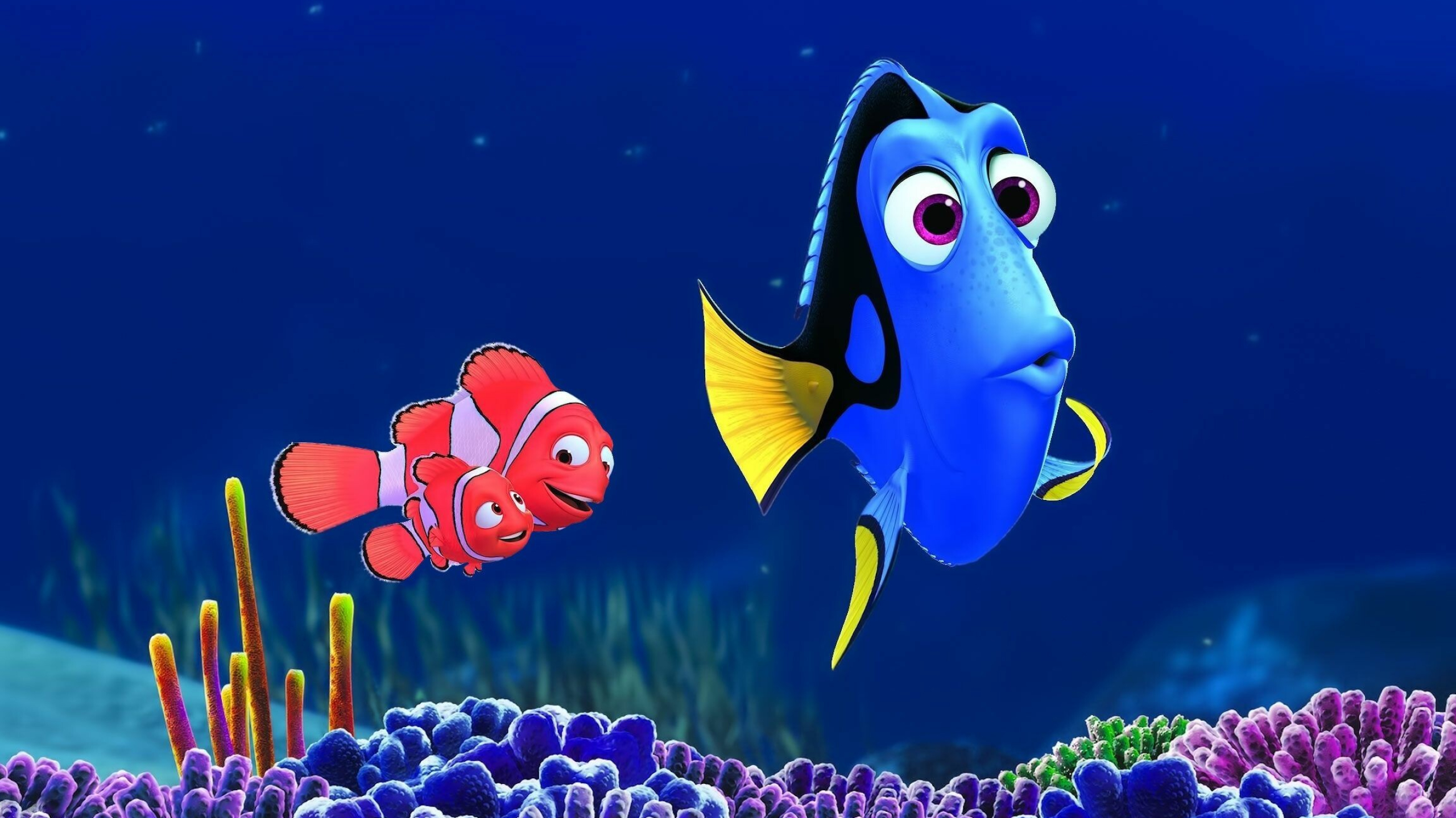 Dory, Marlin, and Nemo, Finding Dory Wallpaper, 2560x1440 HD Desktop