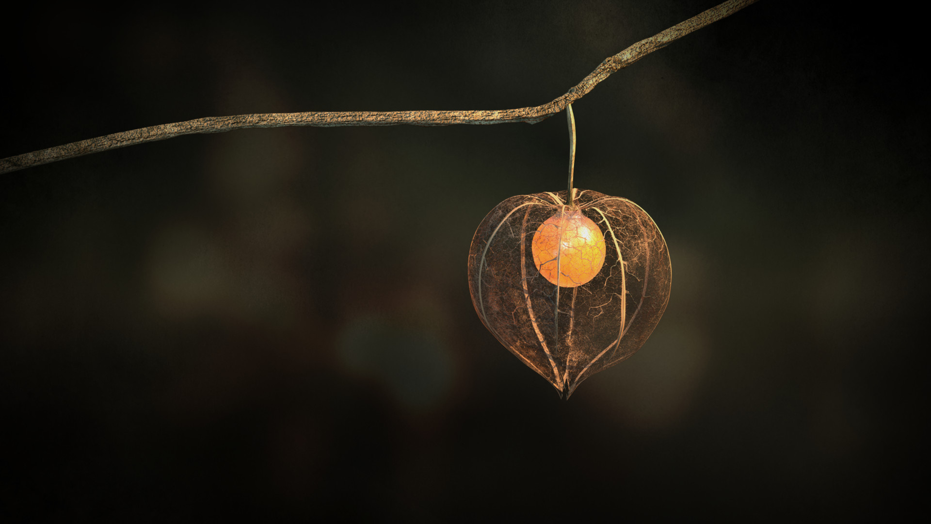 Physalis, Photorealistic CGI, Sabrina Langenberger artwork, Visual marvel, 1920x1080 Full HD Desktop