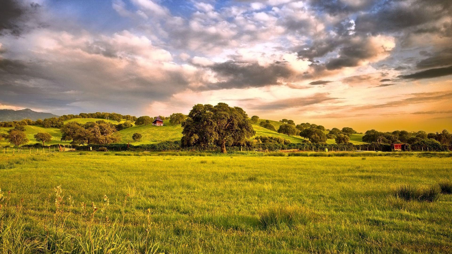 oak-dotted rolling hills, sunlit green meadow plain, golden hour cloudy sky, Full HD Desktop wallpaper