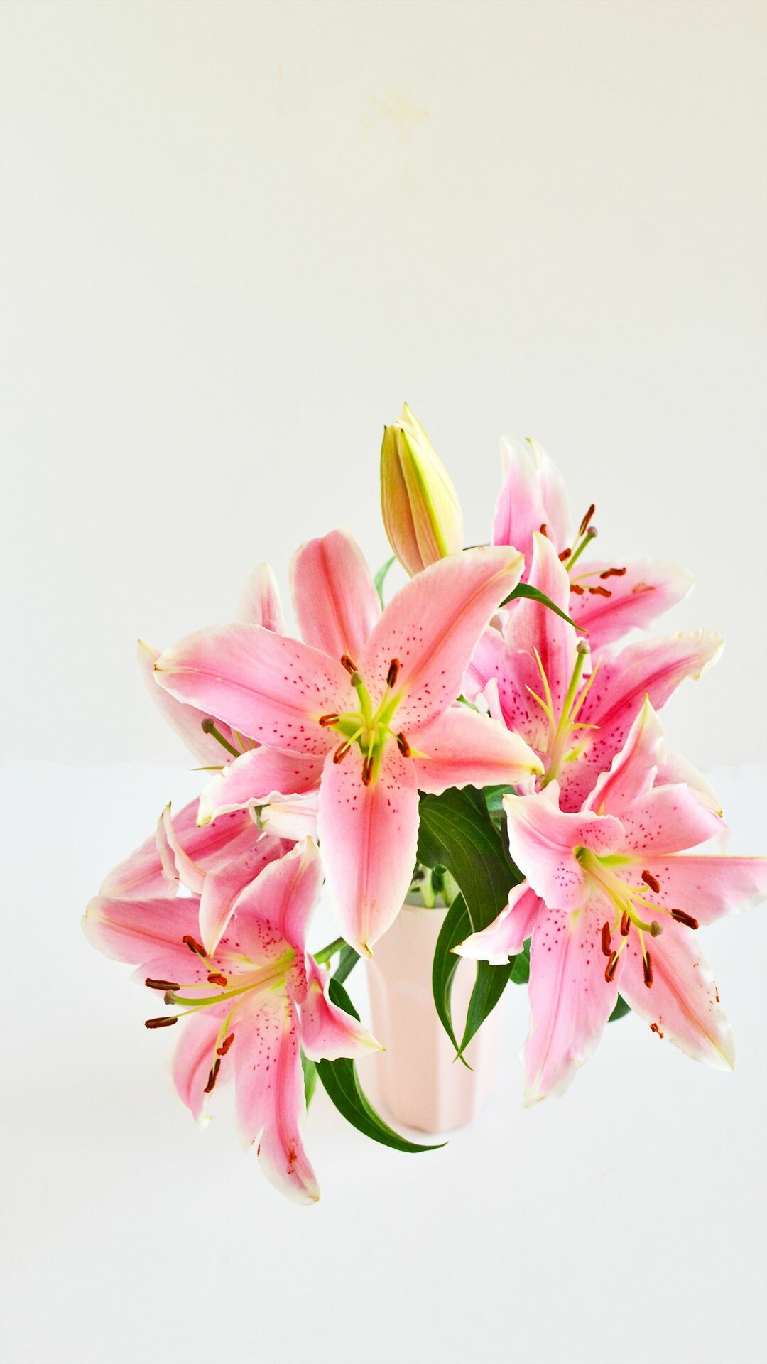Lily iPhone wallpaper, Enthralling design, Pretty background, Lovely wallpaper, 1080x1920 Full HD Phone