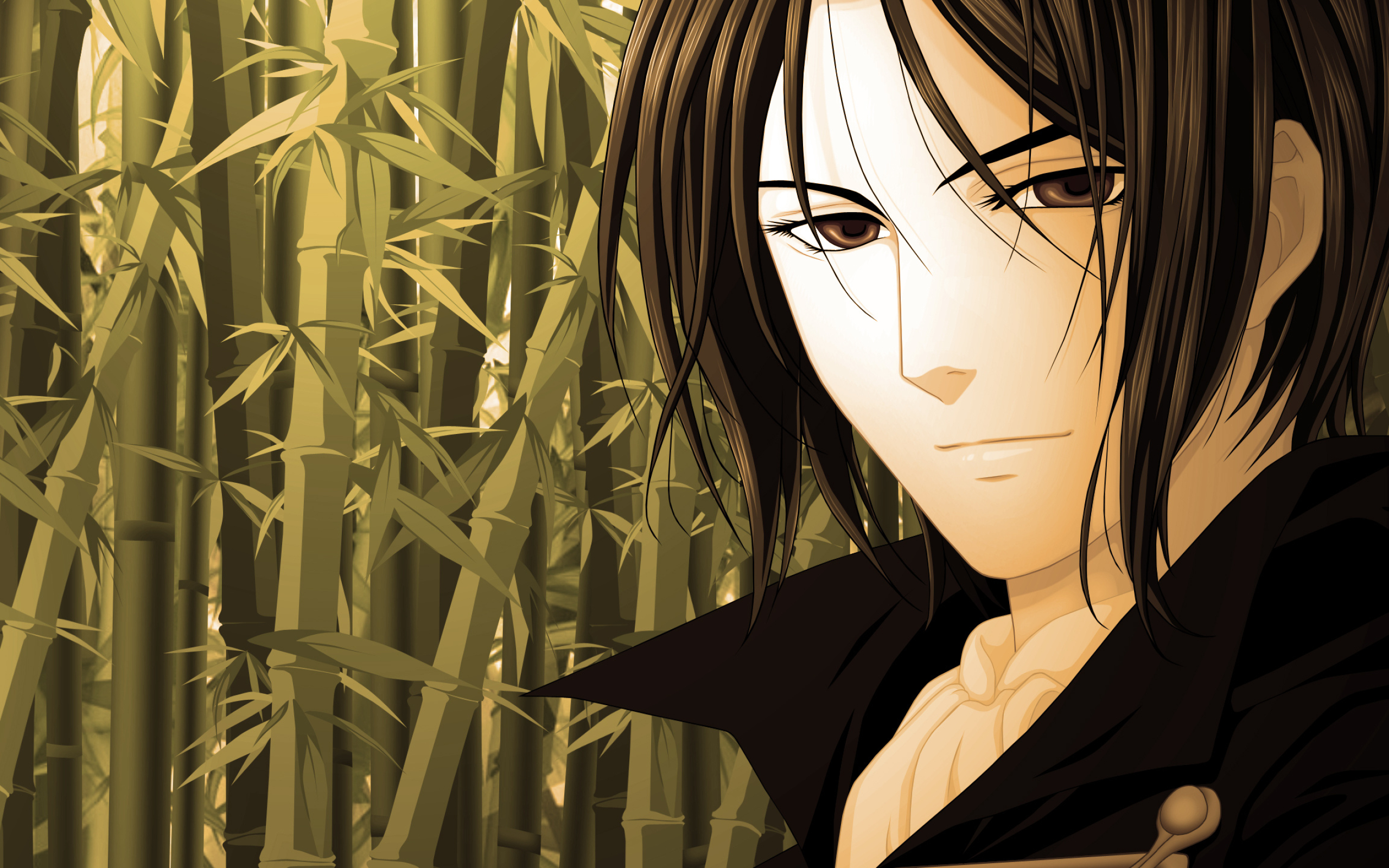 Hakuouki anime, Shinsengumi warriors, Wallpaper and scan gallery, Beautiful artwork, 2560x1600 HD Desktop