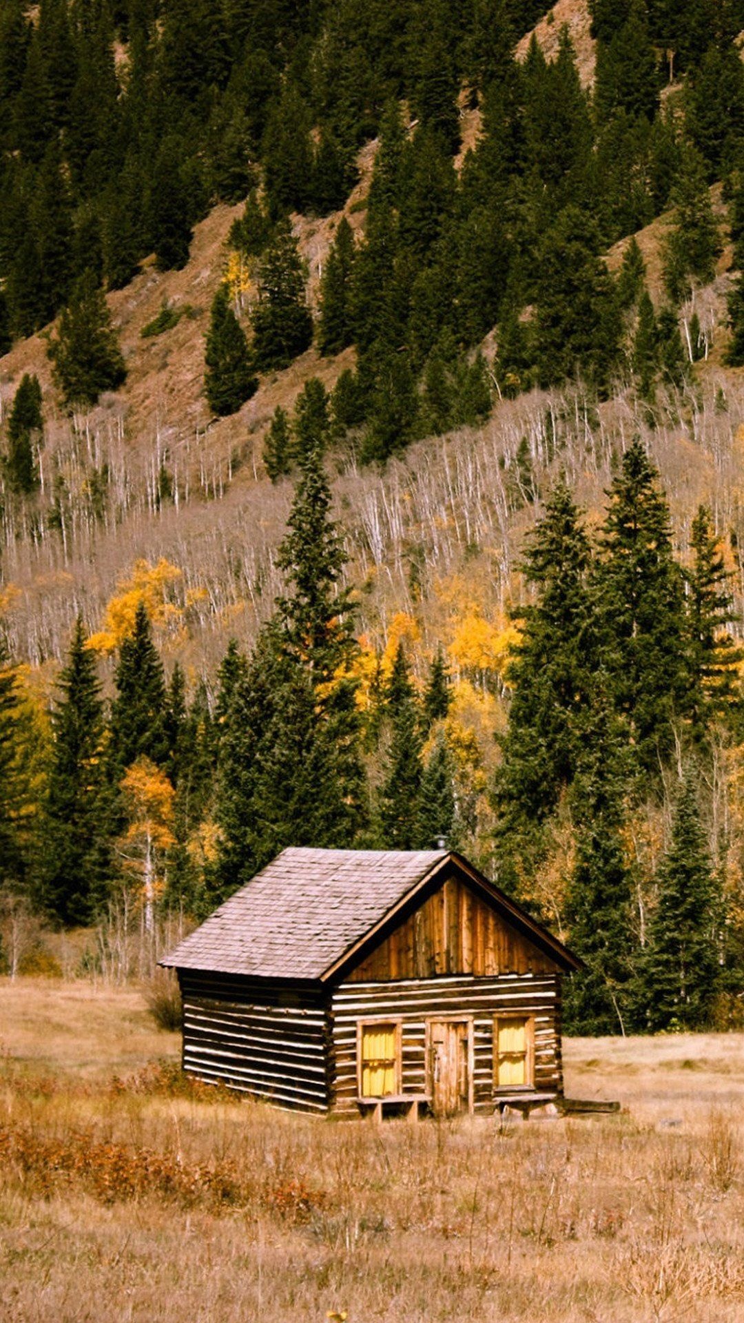 Aspen, Log Cabin Wallpaper, 1080x1920 Full HD Phone