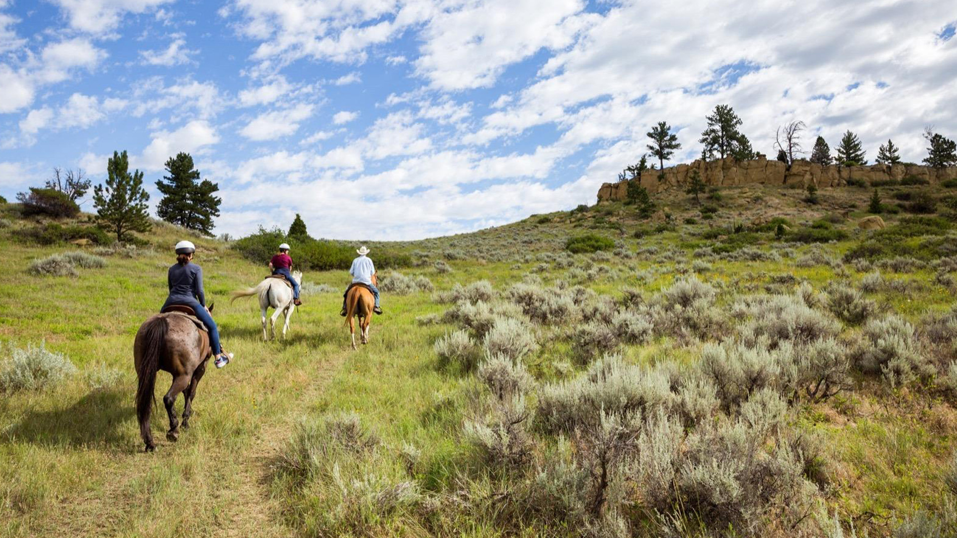 Billings Montana from the saddle, Visit USA Parks, 1920x1080 Full HD Desktop