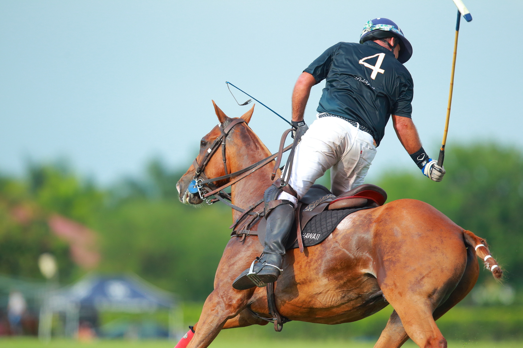 Black Watch triumph, Palm Beach Open, Surprise victory, World Polo League, 2100x1400 HD Desktop