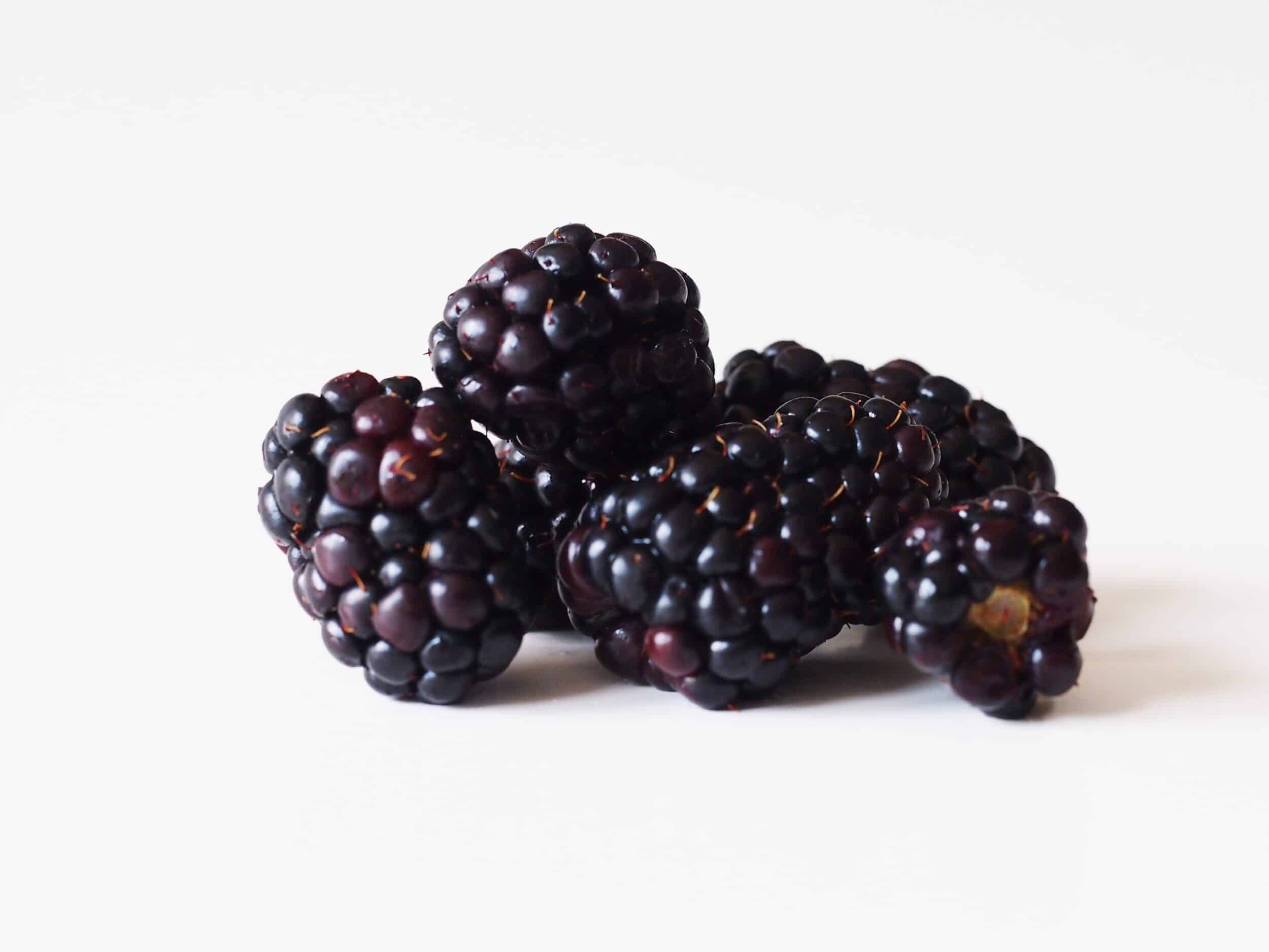 Blackberry, Ideal for babies, First foods, Solid starts, 2500x1880 HD Desktop