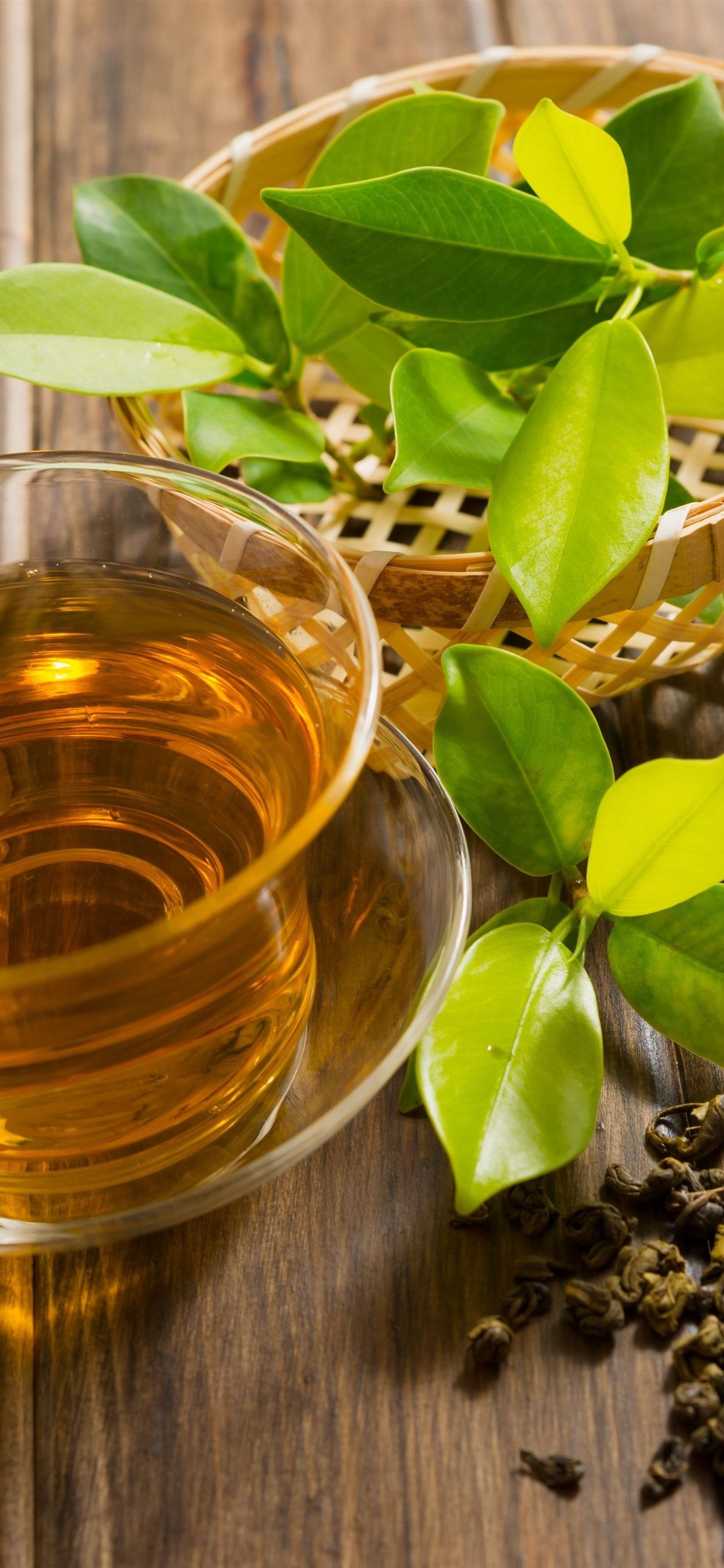 Green tea wallpapers, Vibrant greenery, Healthy beverage, Zen-like serenity, 1250x2690 HD Phone