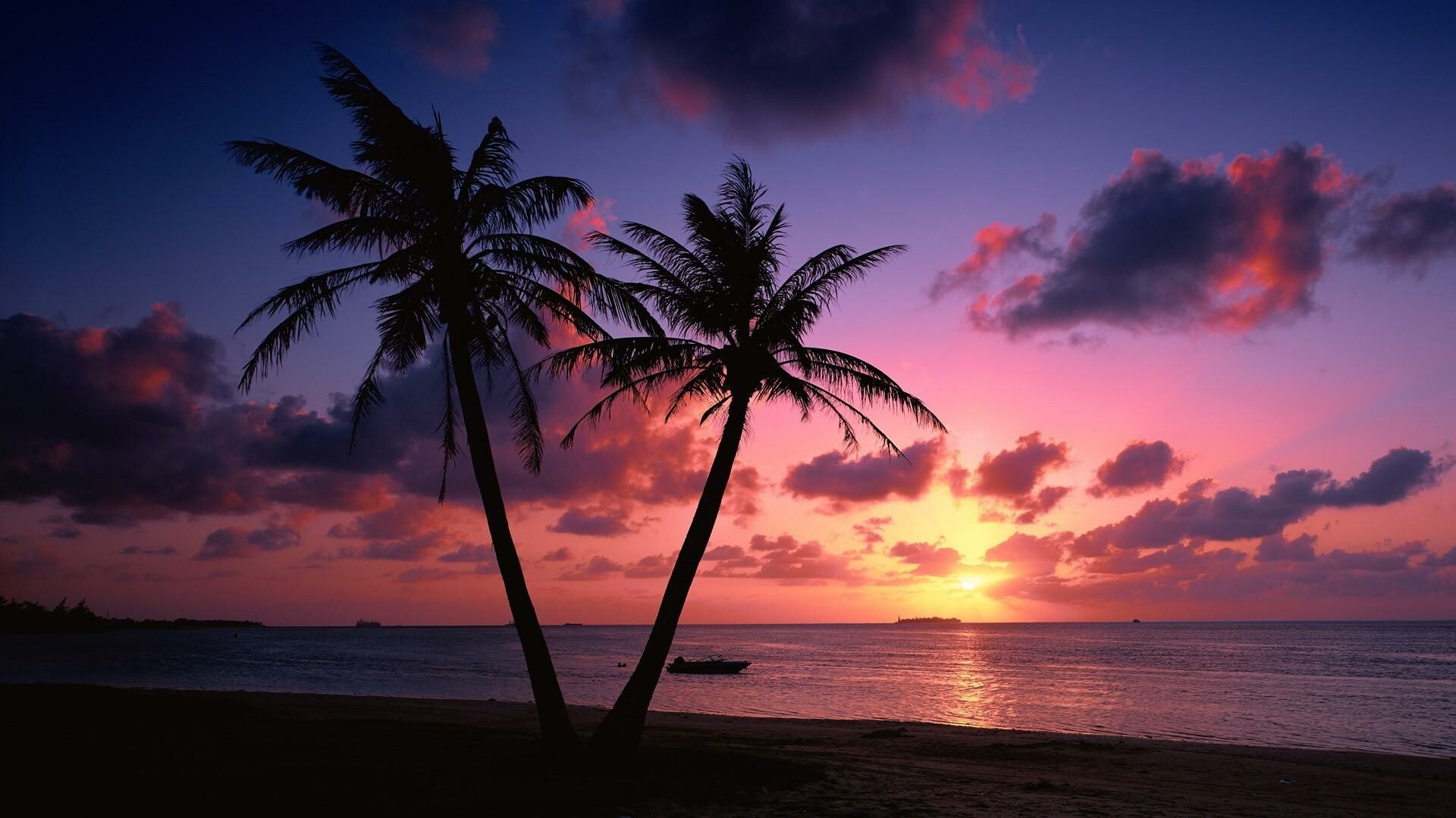 Sunset hues, Palm tree silhouettes, Tranquil setting, Tropical paradise, 1920x1080 Full HD Desktop