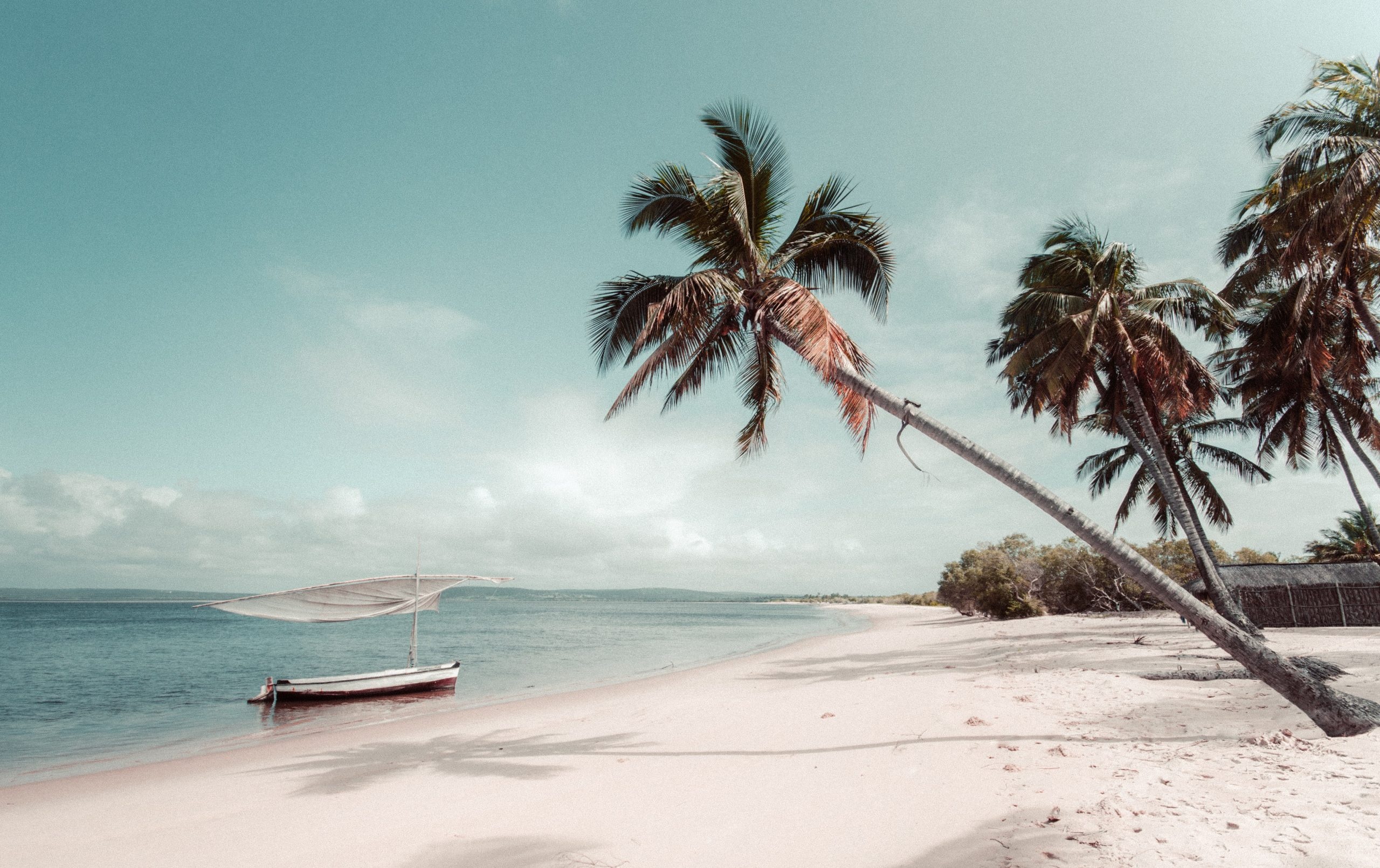 Leaning coconut palm tree, Moored wooden sailboat, White sand tropical beach, HD Desktop wallpaper