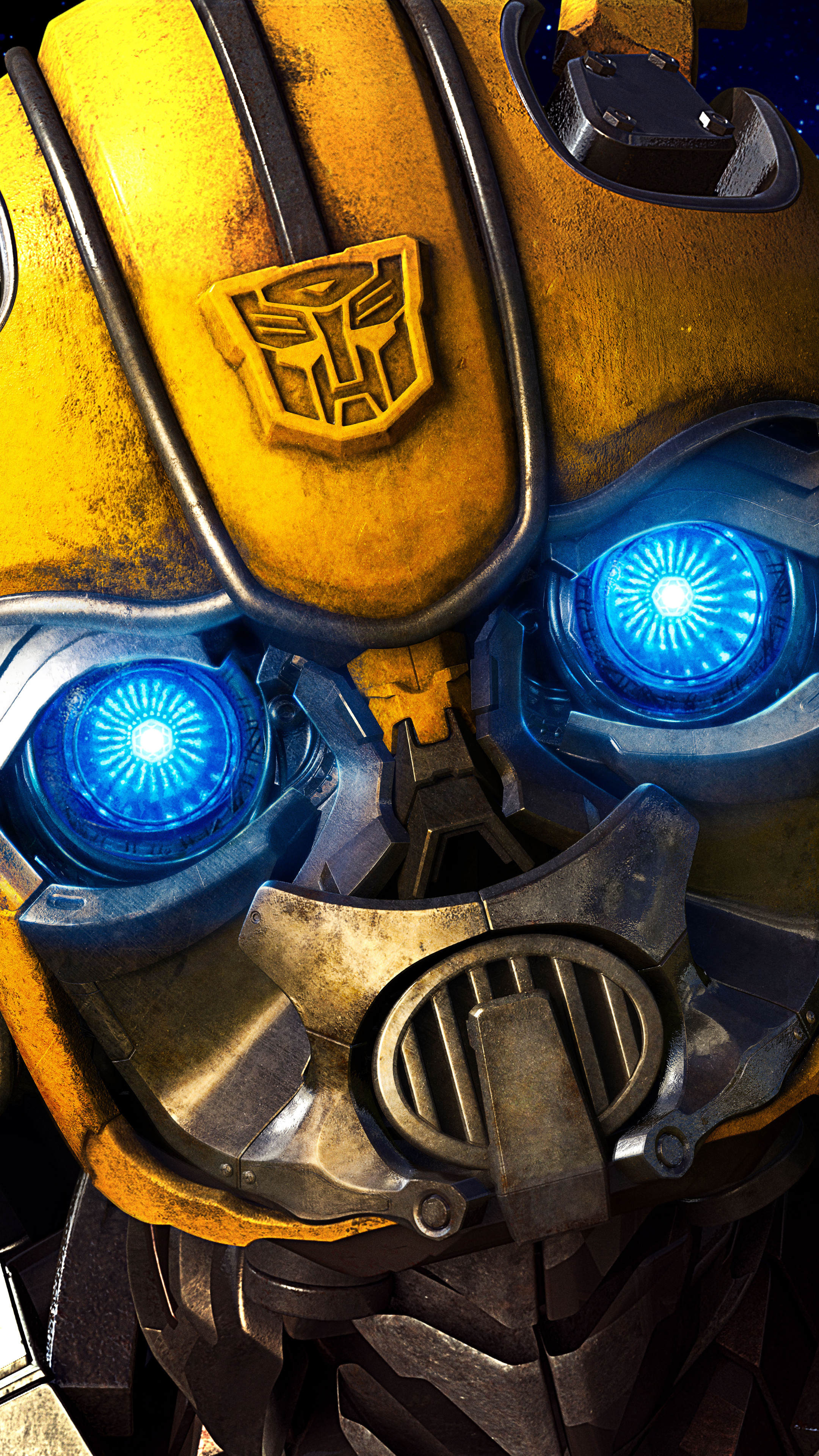 Close-up, Bumblebee Wallpaper, 2160x3840 4K Phone