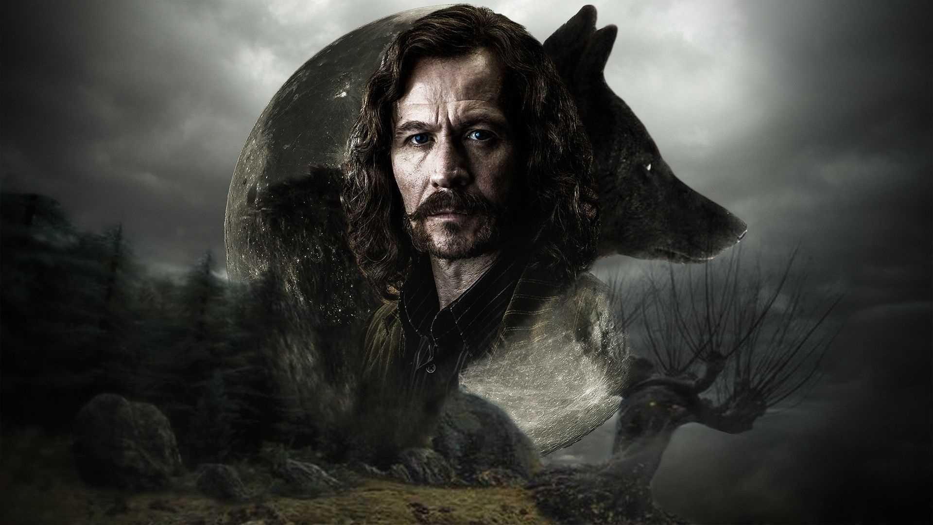 Sirius Black, Harry Potter series, Desktop wallpapers, Mysterious character, 1920x1080 Full HD Desktop