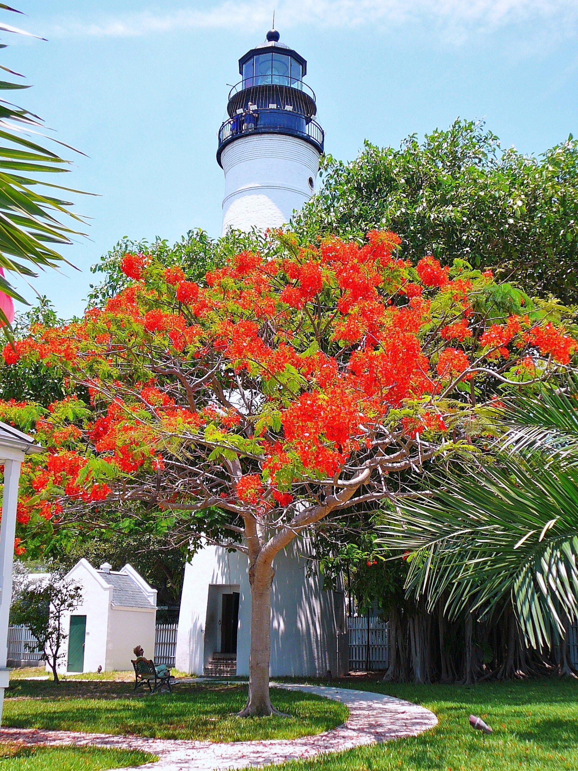Key West travels, Key West lighthouse, Florida lighthouses, 1920x2560 HD Phone