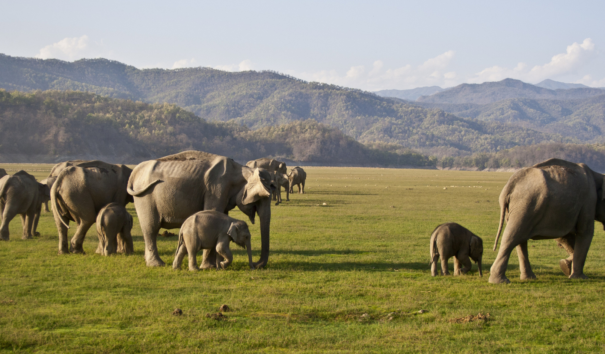 Jim Corbett National Park, Travels, Thousand Wonders, 2050x1200 HD Desktop