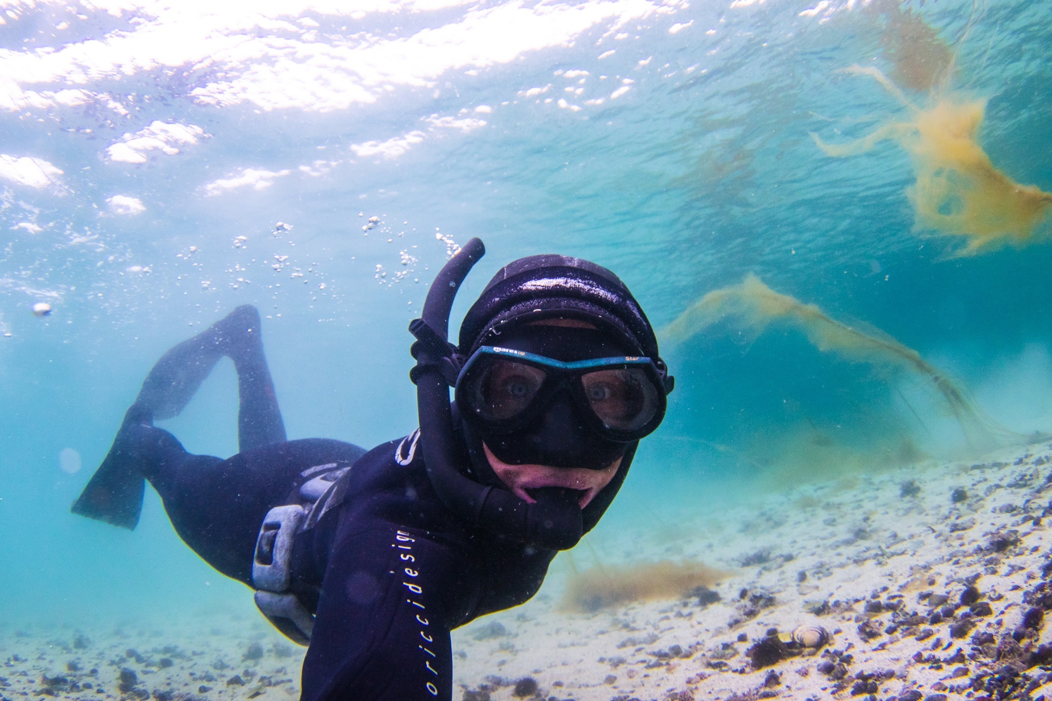 Snorkeling in Lofoten, Swimming, Dive into Arctic waters, Discover underwater tranquility, 2050x1370 HD Desktop