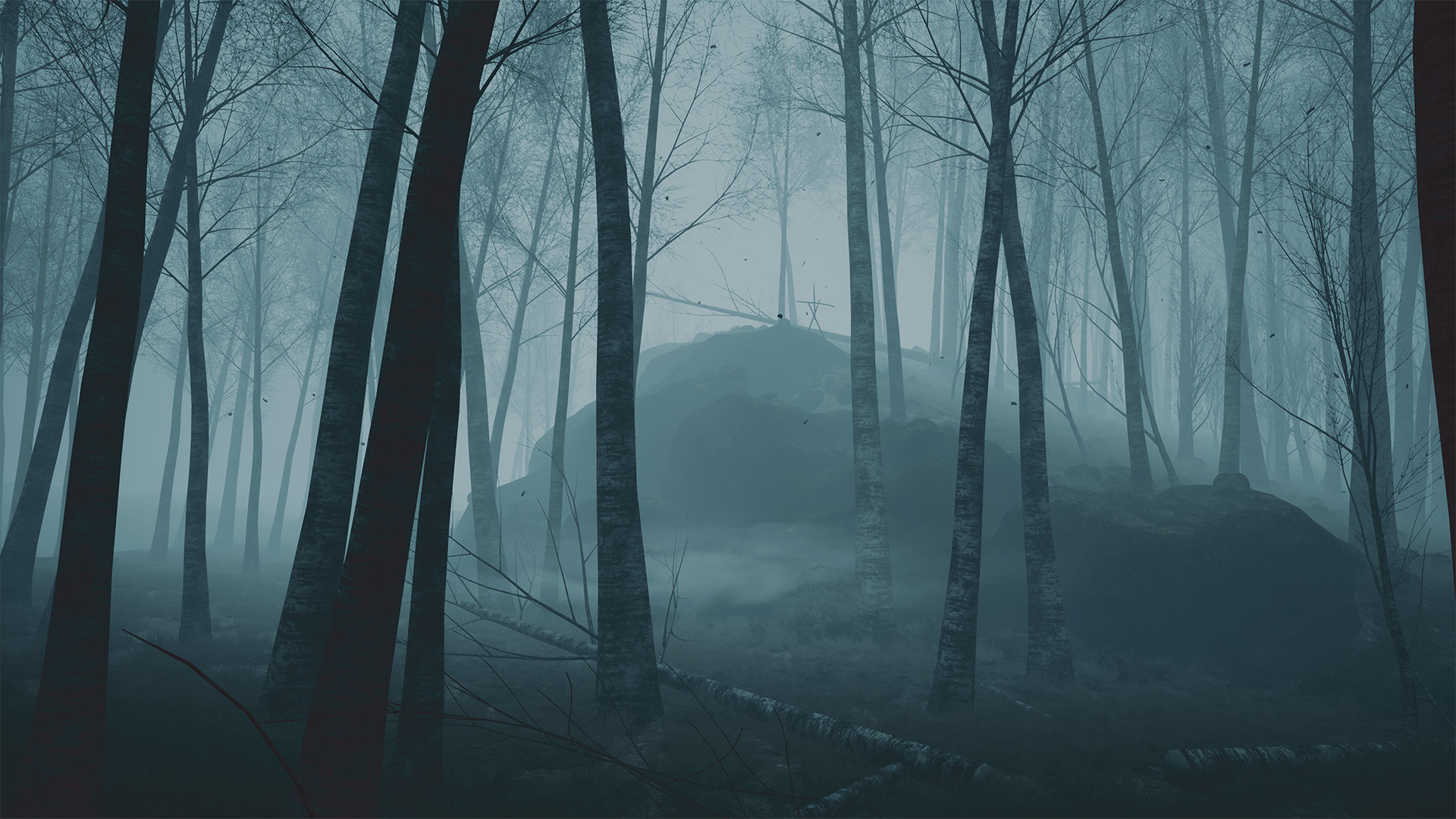 foggy birch forest, fallen tree logs, dense blue mist, Full HD Desktop wallpaper