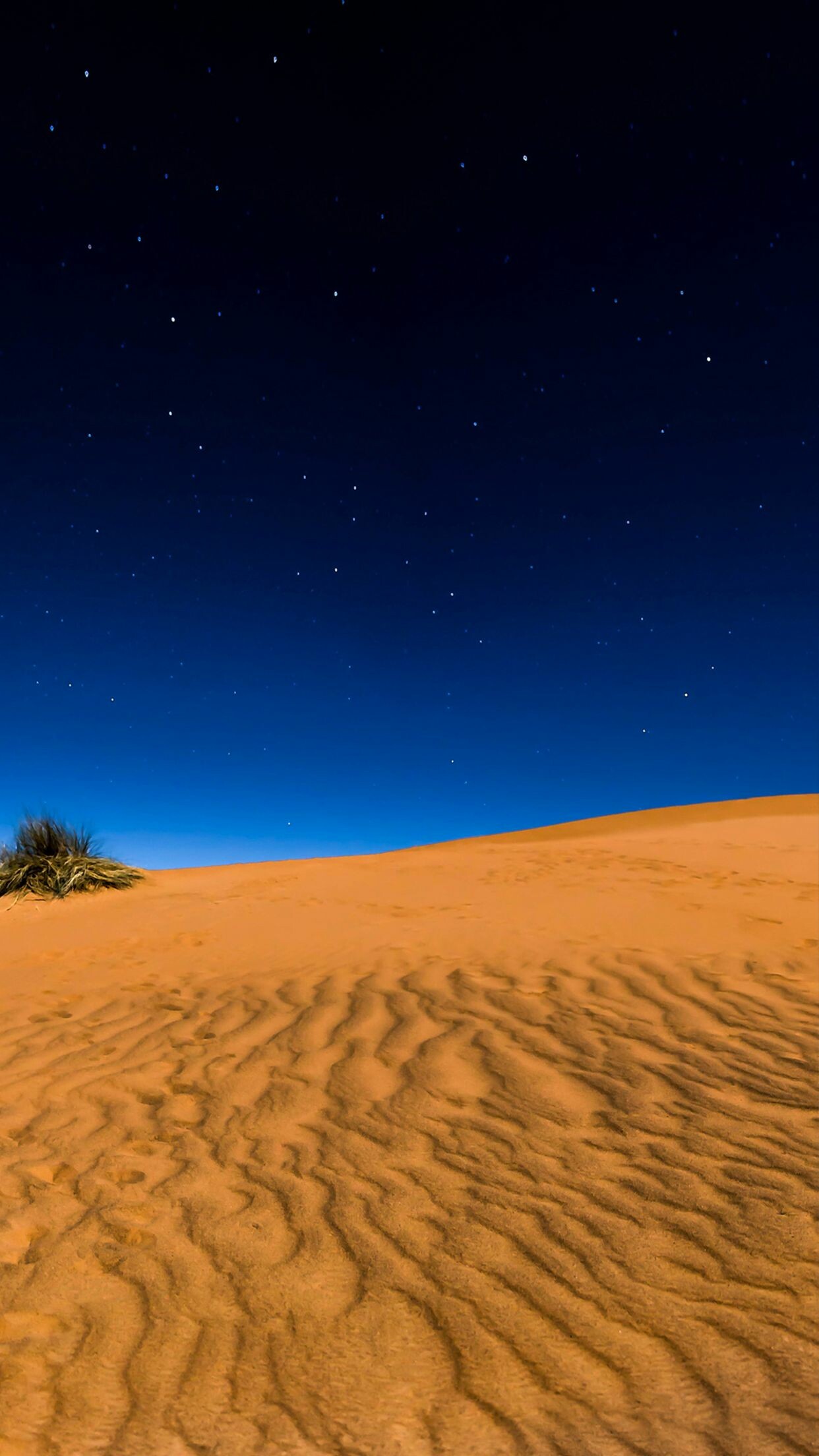 Desert Adventure, iPhone wallpapers, Desert landscapes, Nature's allure, 1250x2210 HD Phone