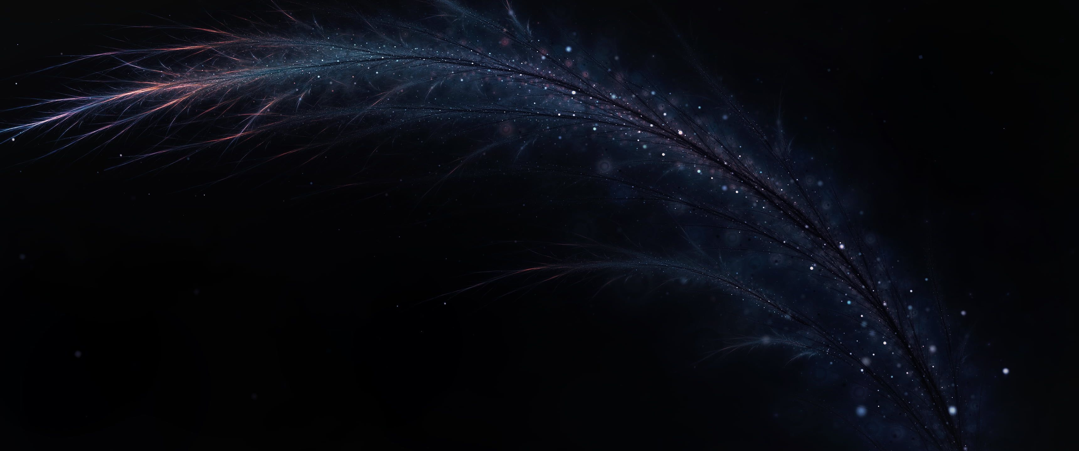 Black feathers, Dark-themed wallpaper, Mysterious beauty, Artistic composition, 3440x1440 Dual Screen Desktop