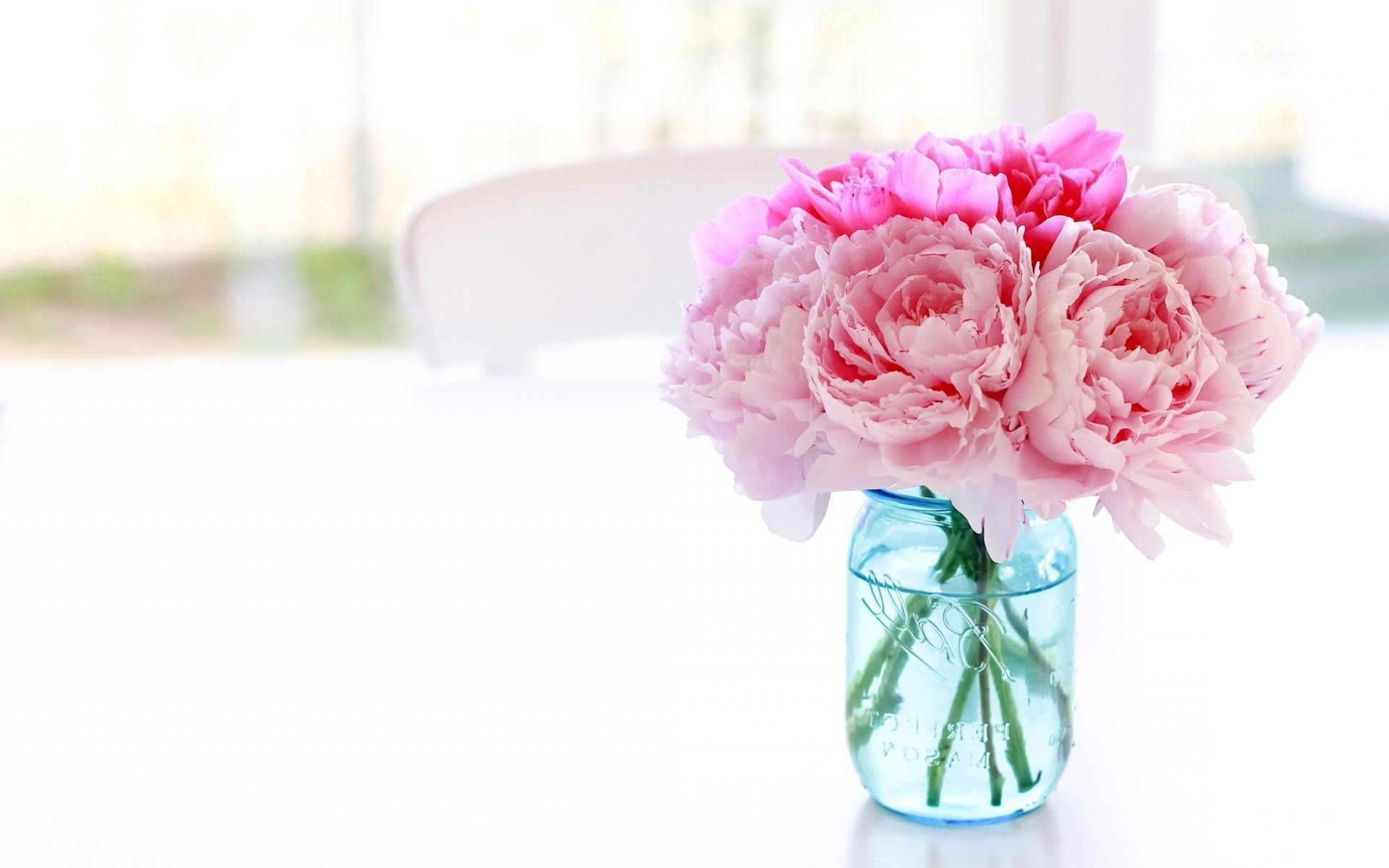Pink peony bouquet, Blue mason jar vase, Sunlit white tabletop, HD Desktop wallpaper