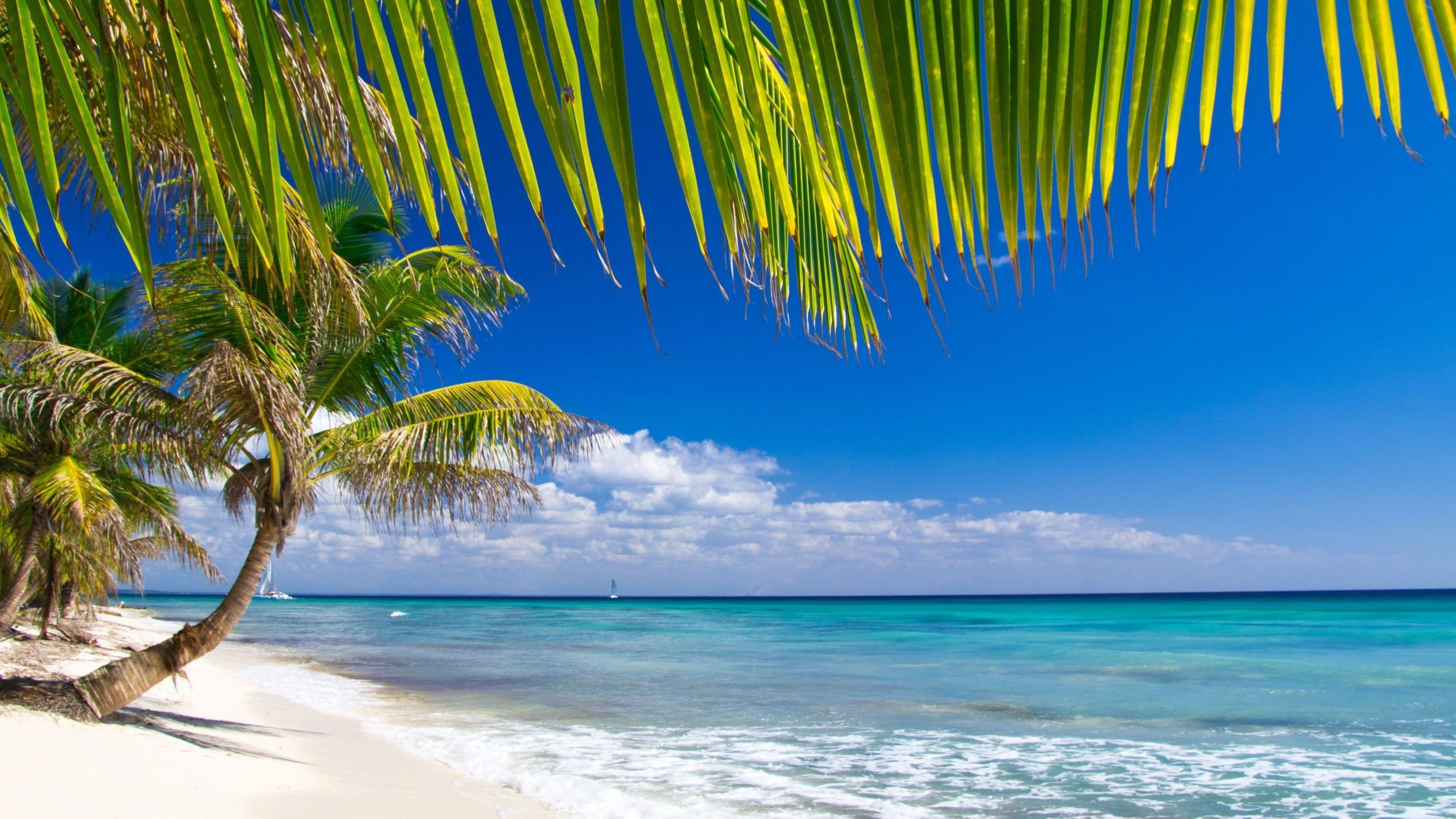 Caribbean beach wallpapers, Top free, HD, 3840x2160 4K Desktop